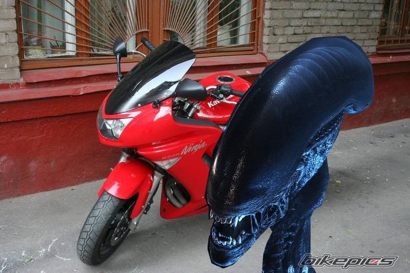 Photo 2474161