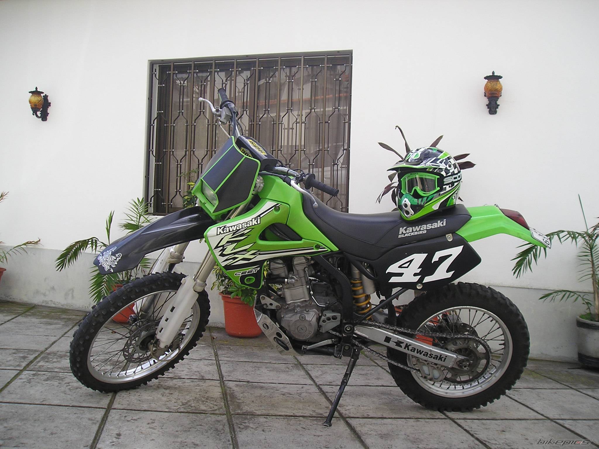 Photo 247418