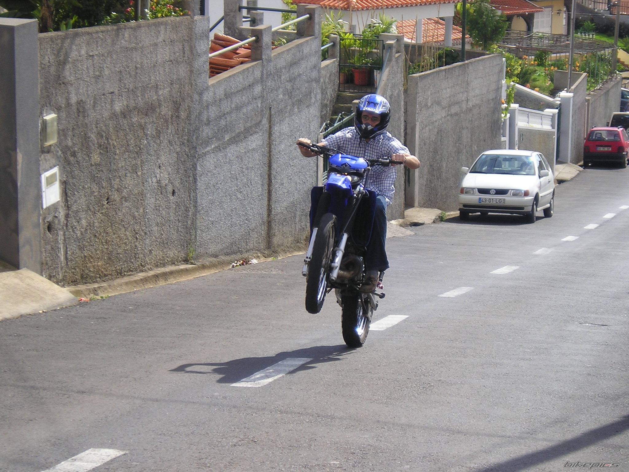 Photo 247421