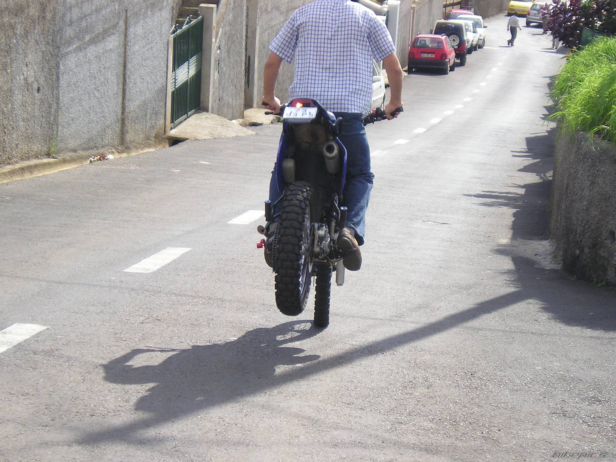 Photo 247424