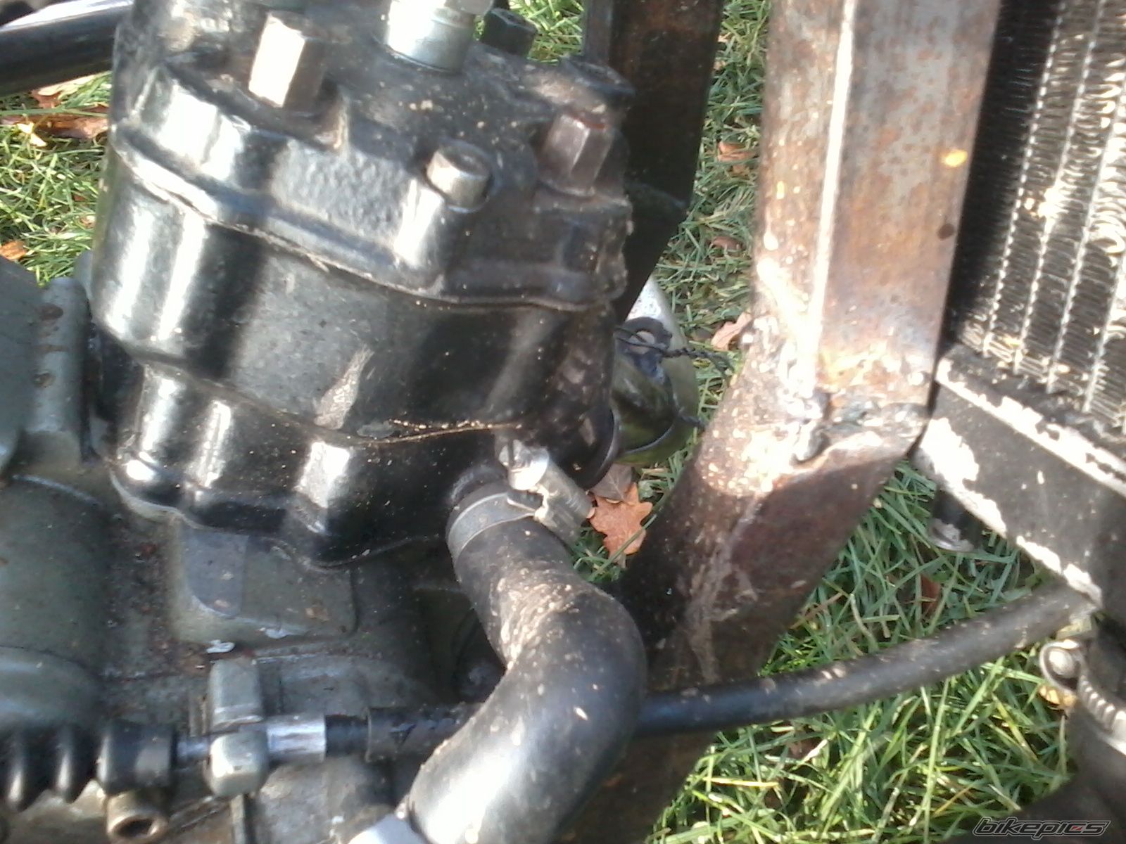 Photo 2474294
