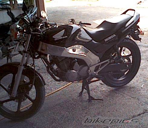 Photo 247442