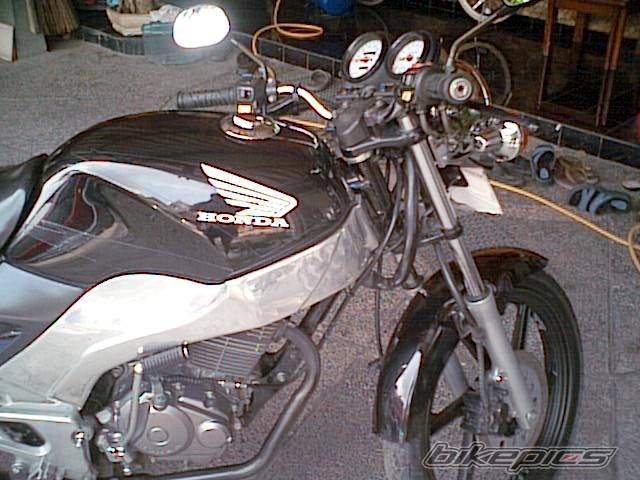 Photo 247446