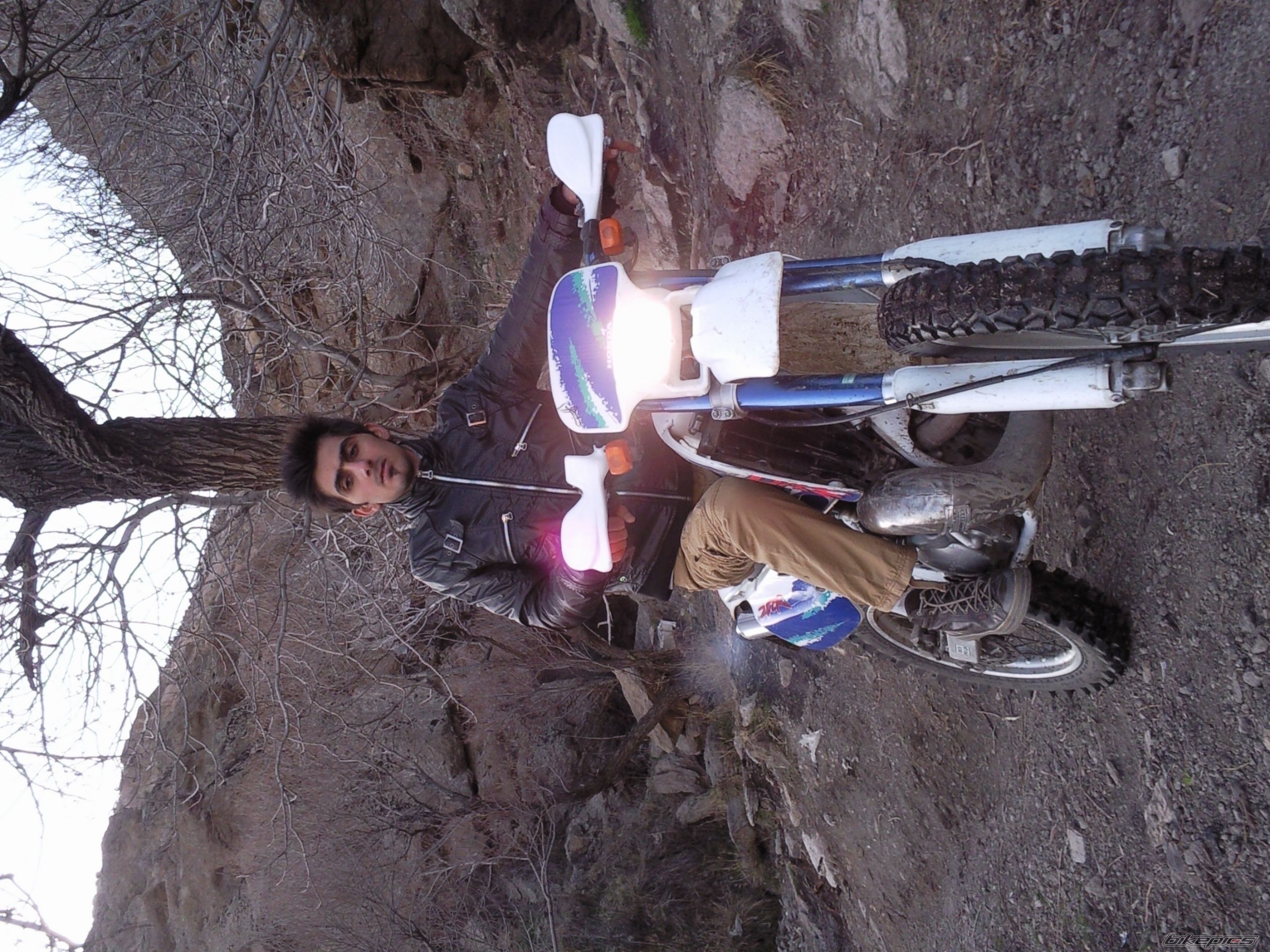 Photo 2474479