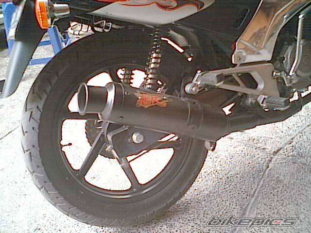 Photo 247451