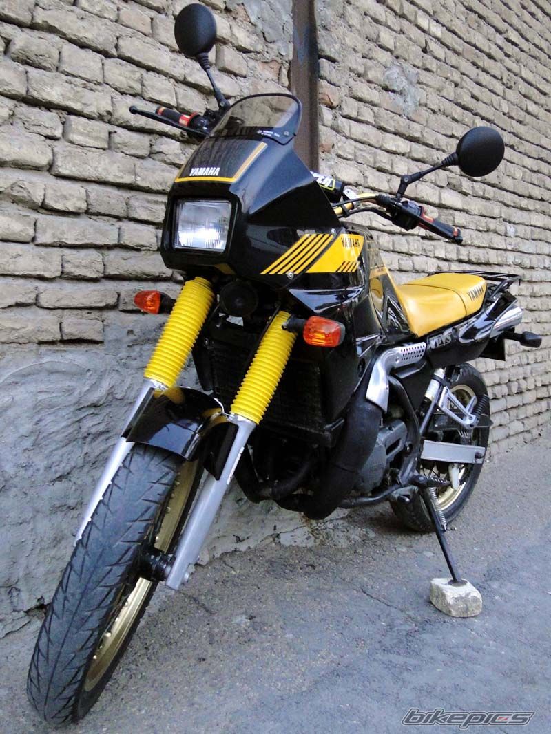 Photo 2474625