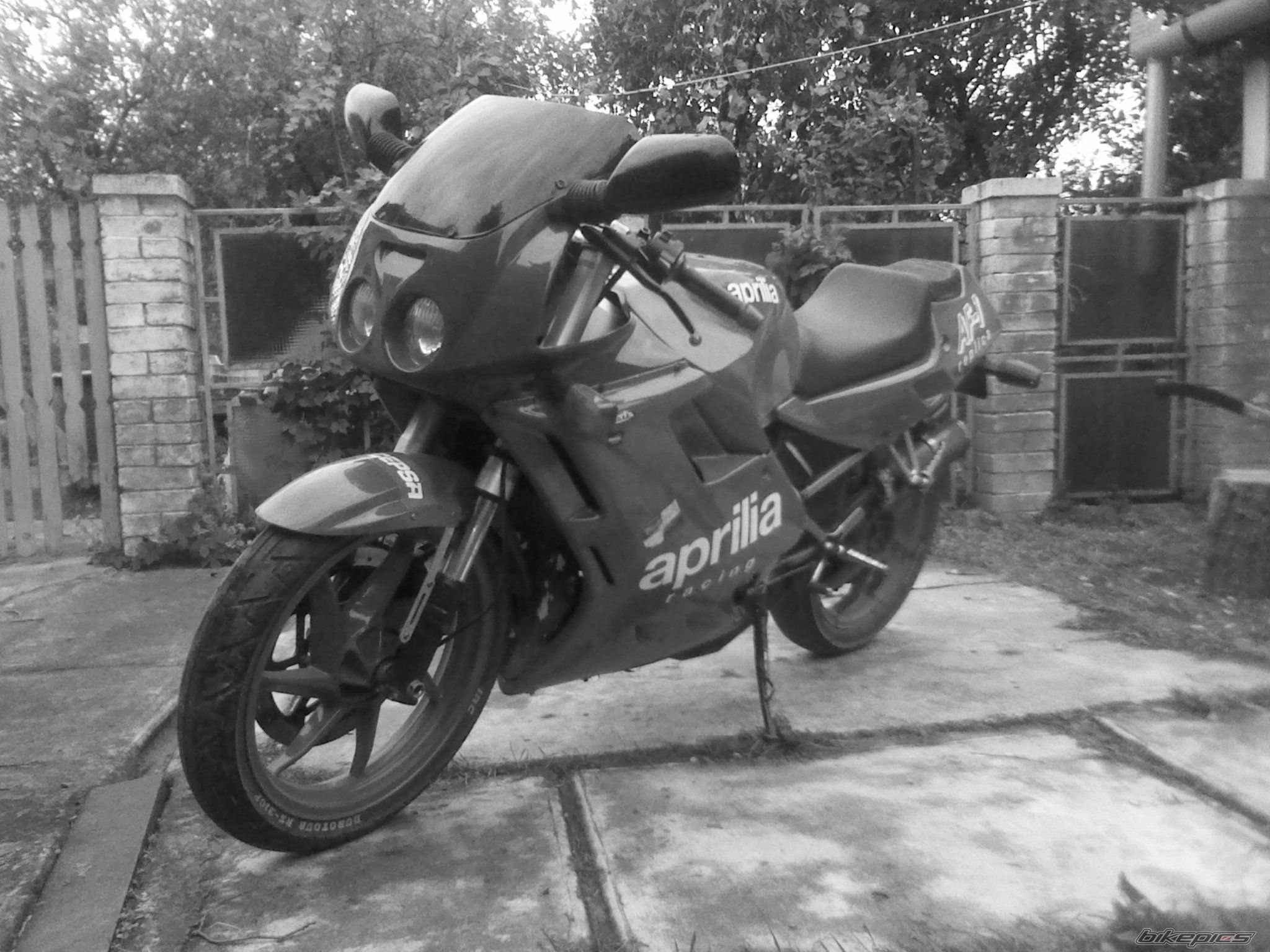Bike Photo 2474631