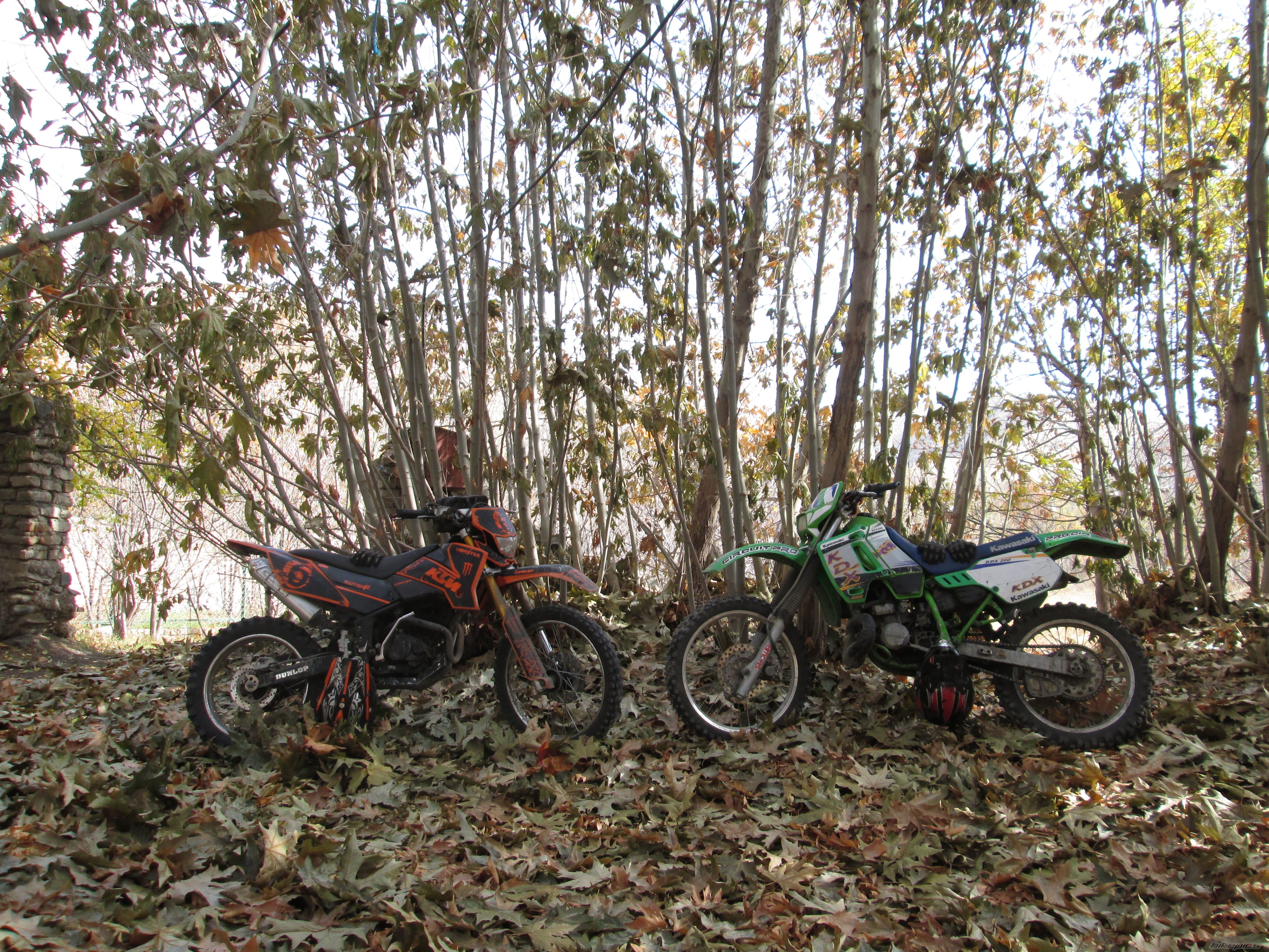 Photo 2474750