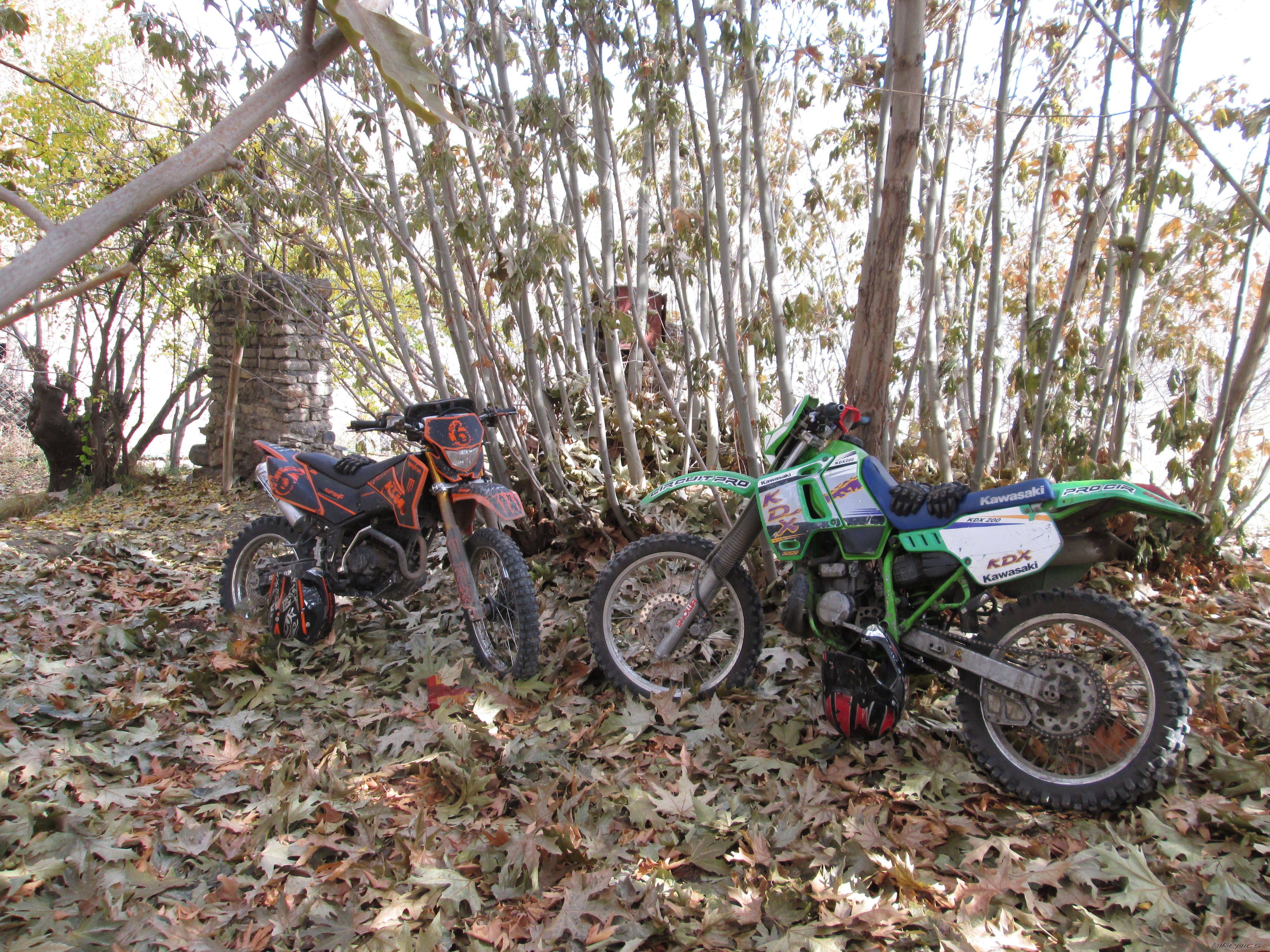 Photo 2474751