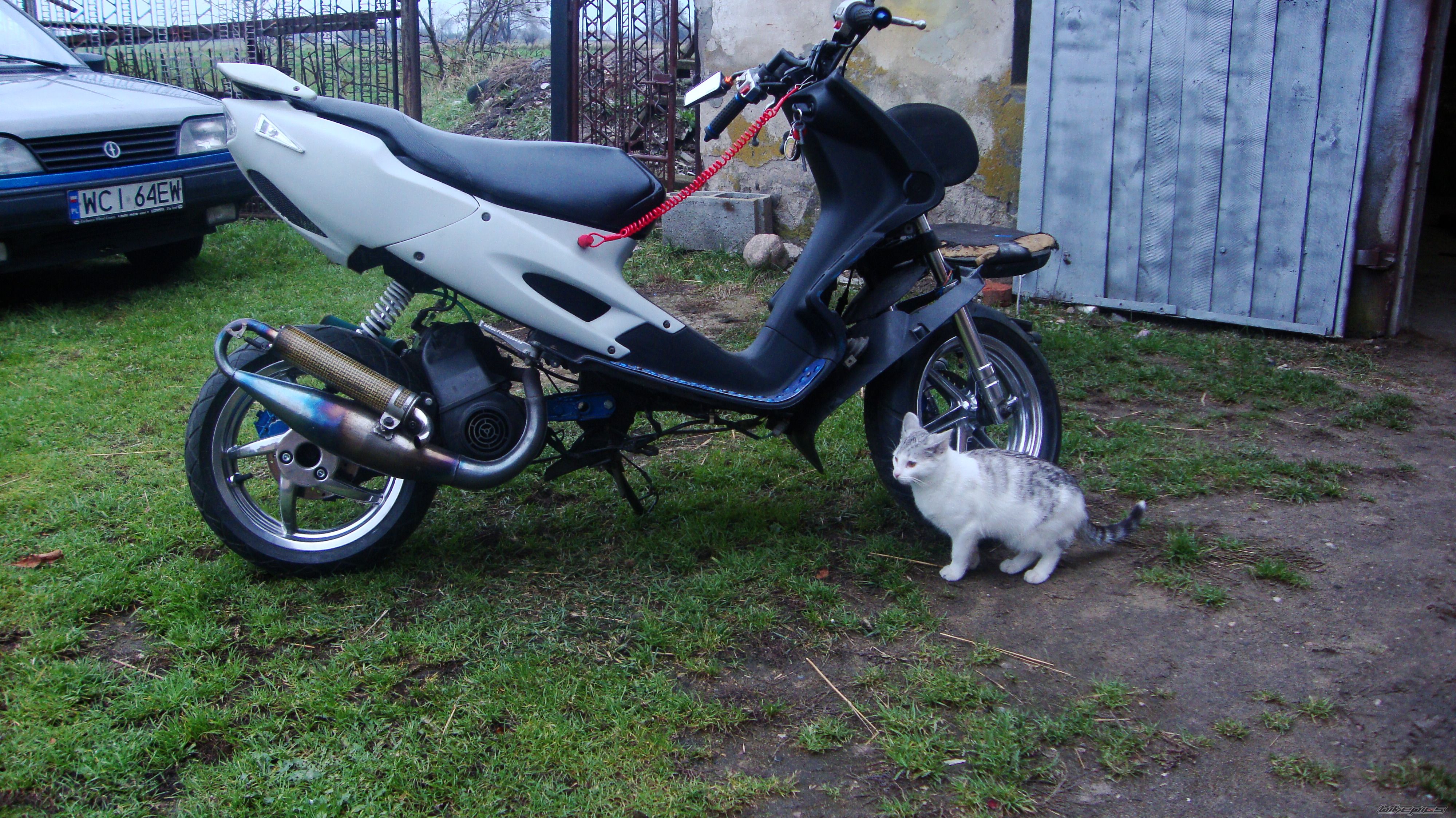 Photo 2474762