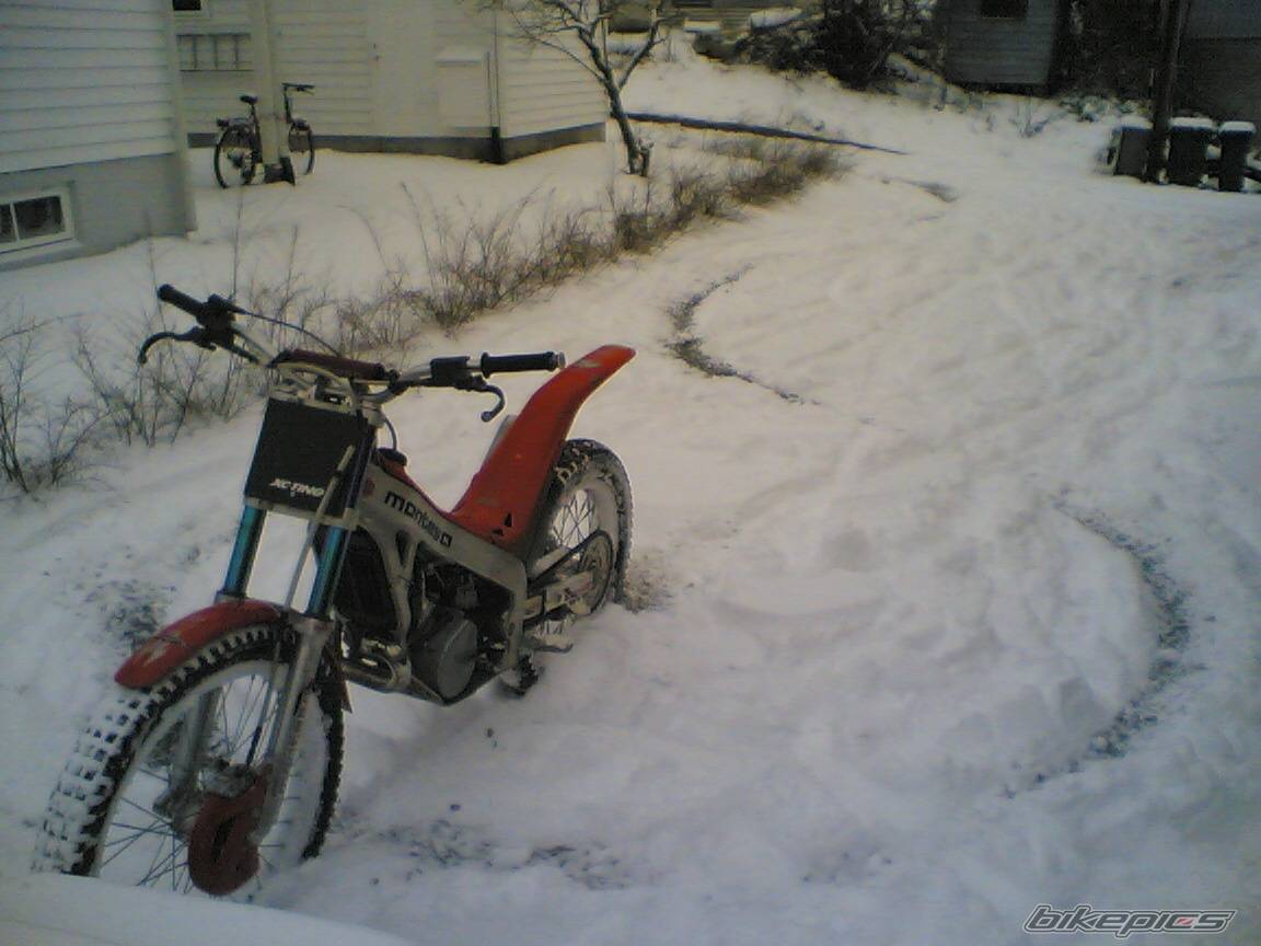 Photo 247483