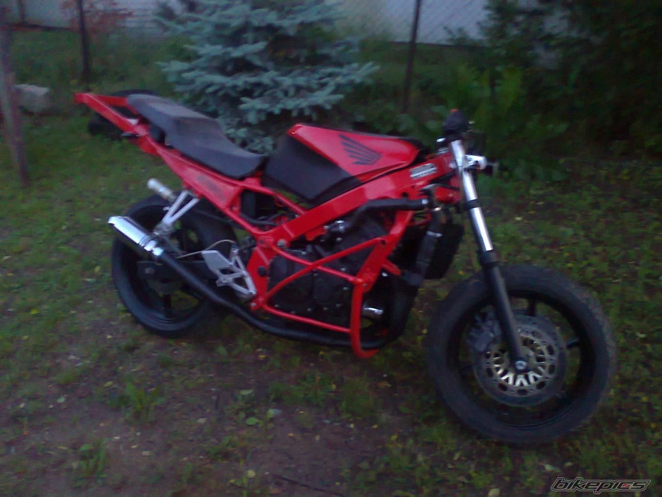 Photo 2474881