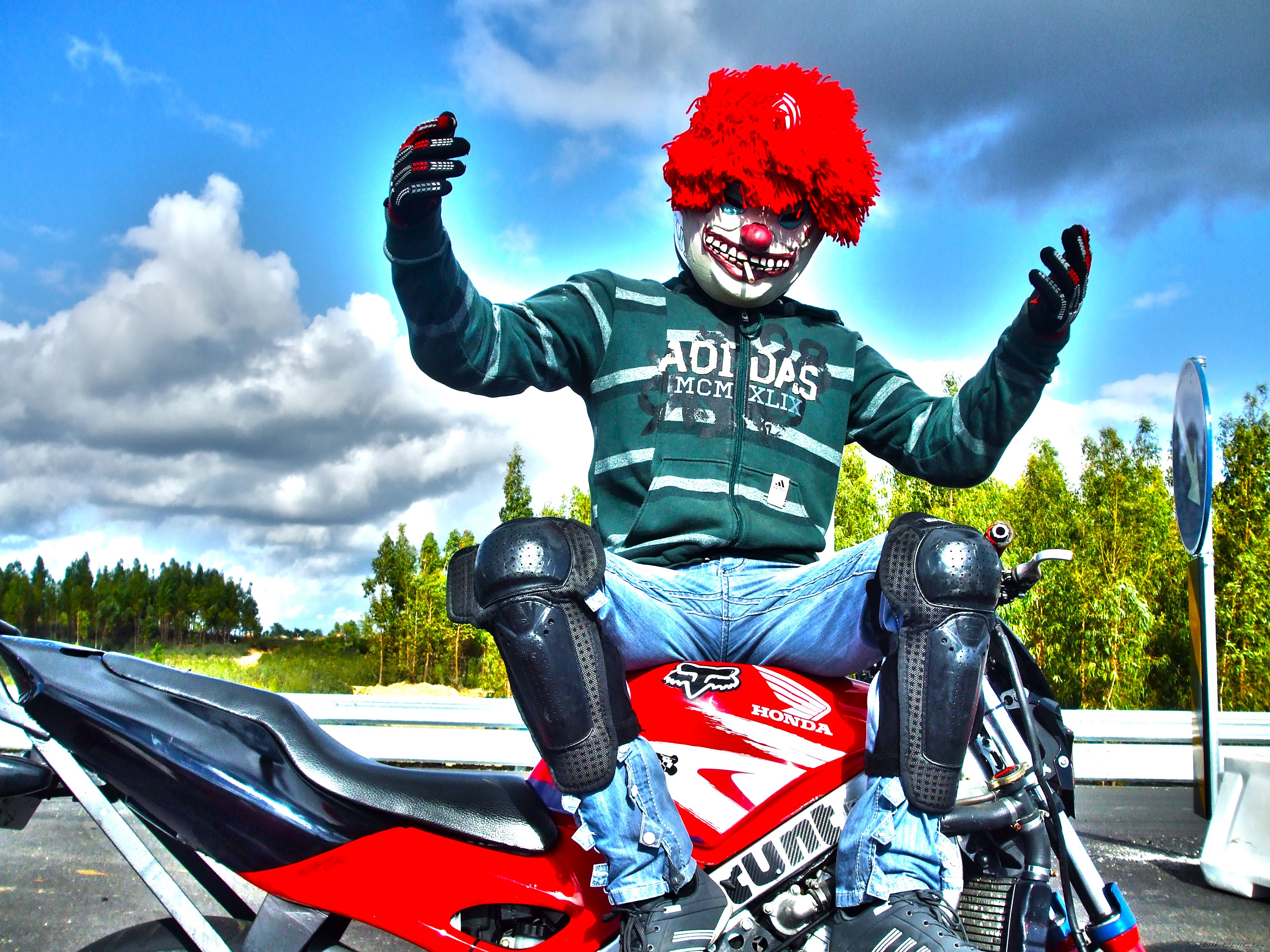 Photo 2474920
