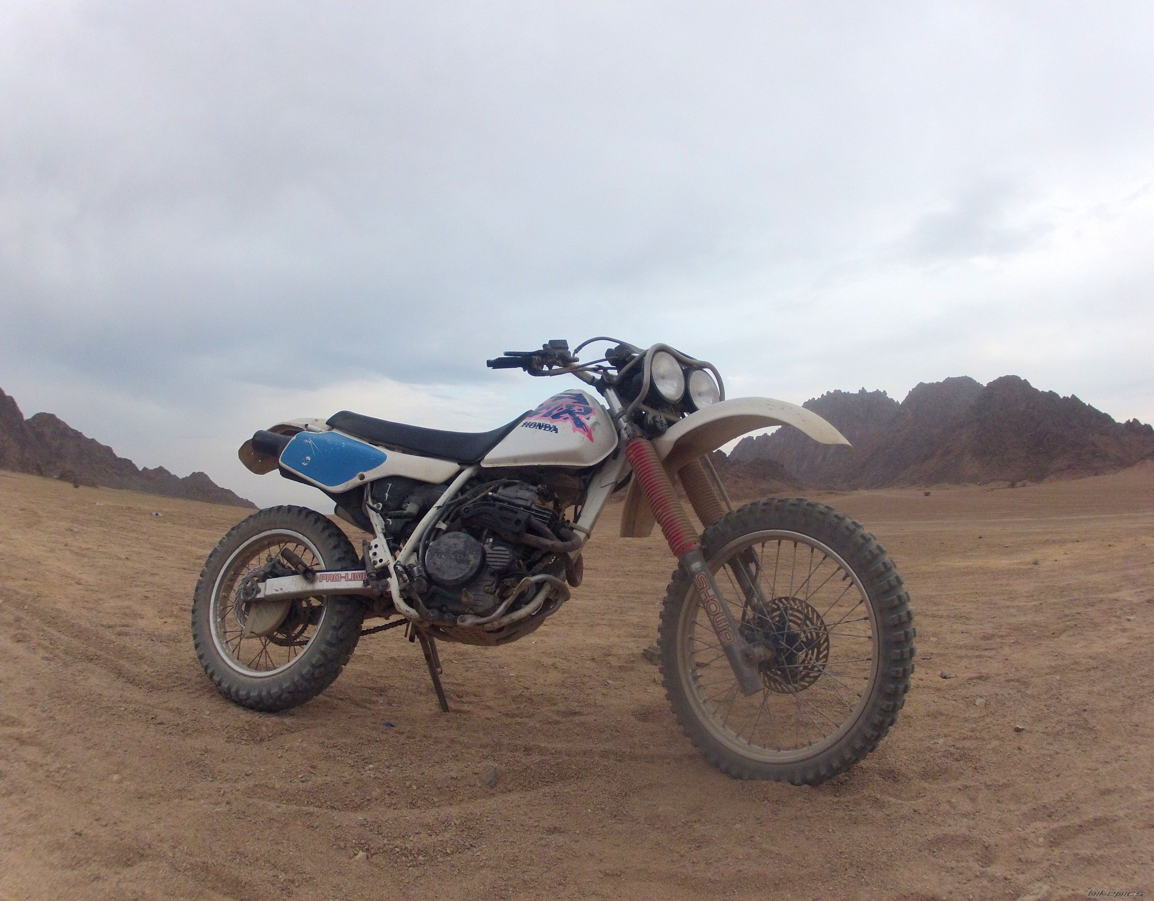 Photo 2474941