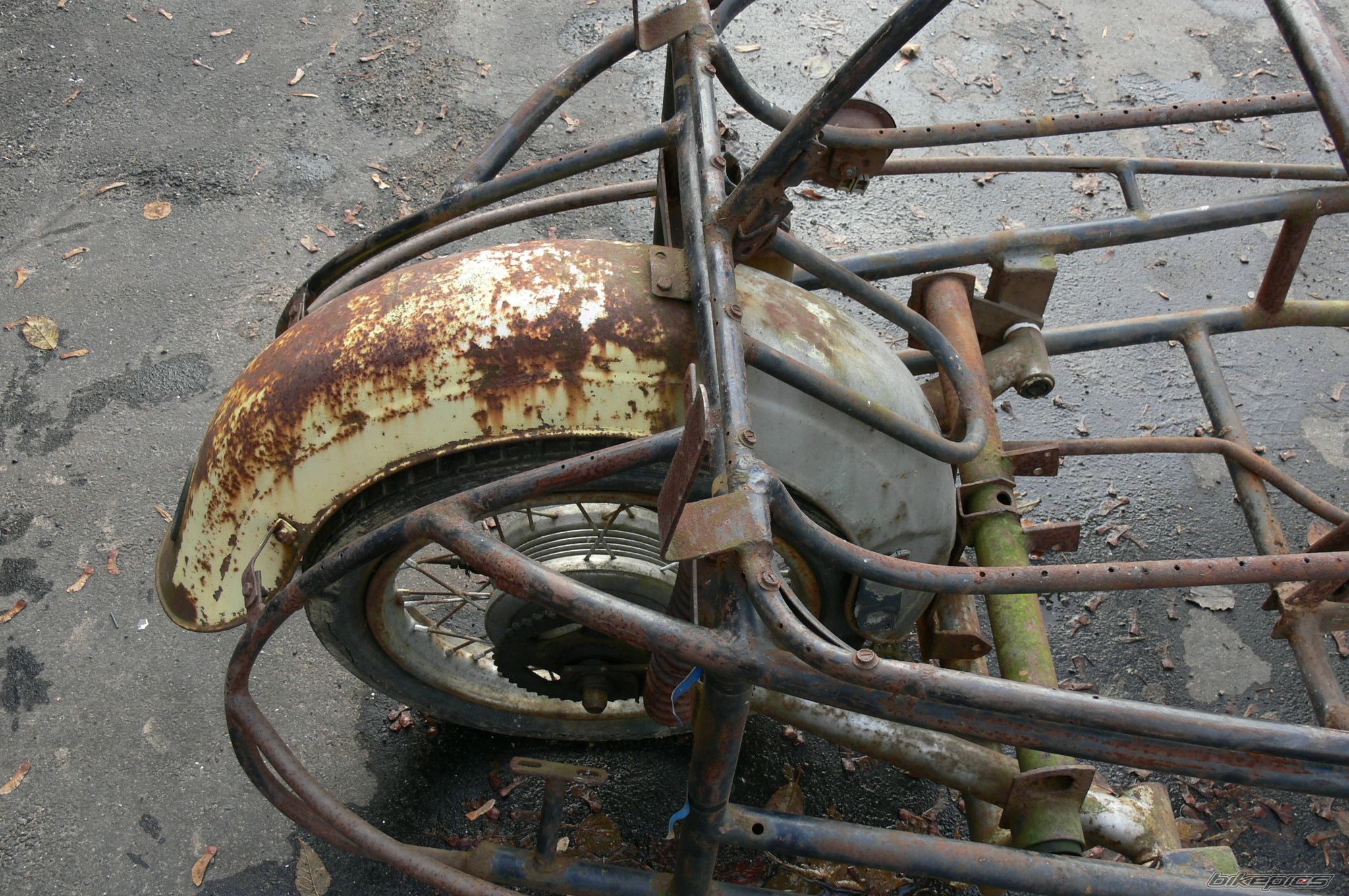 Photo 2475041