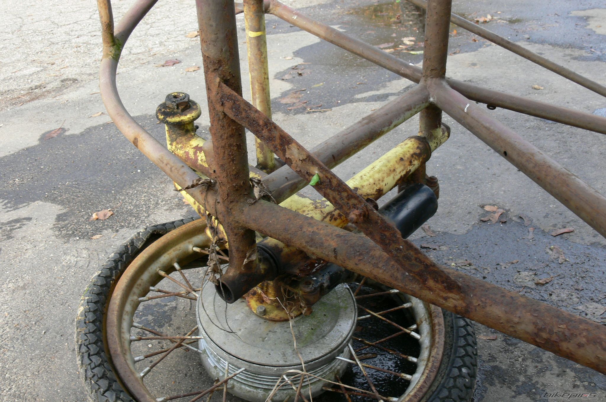 Photo 2475072