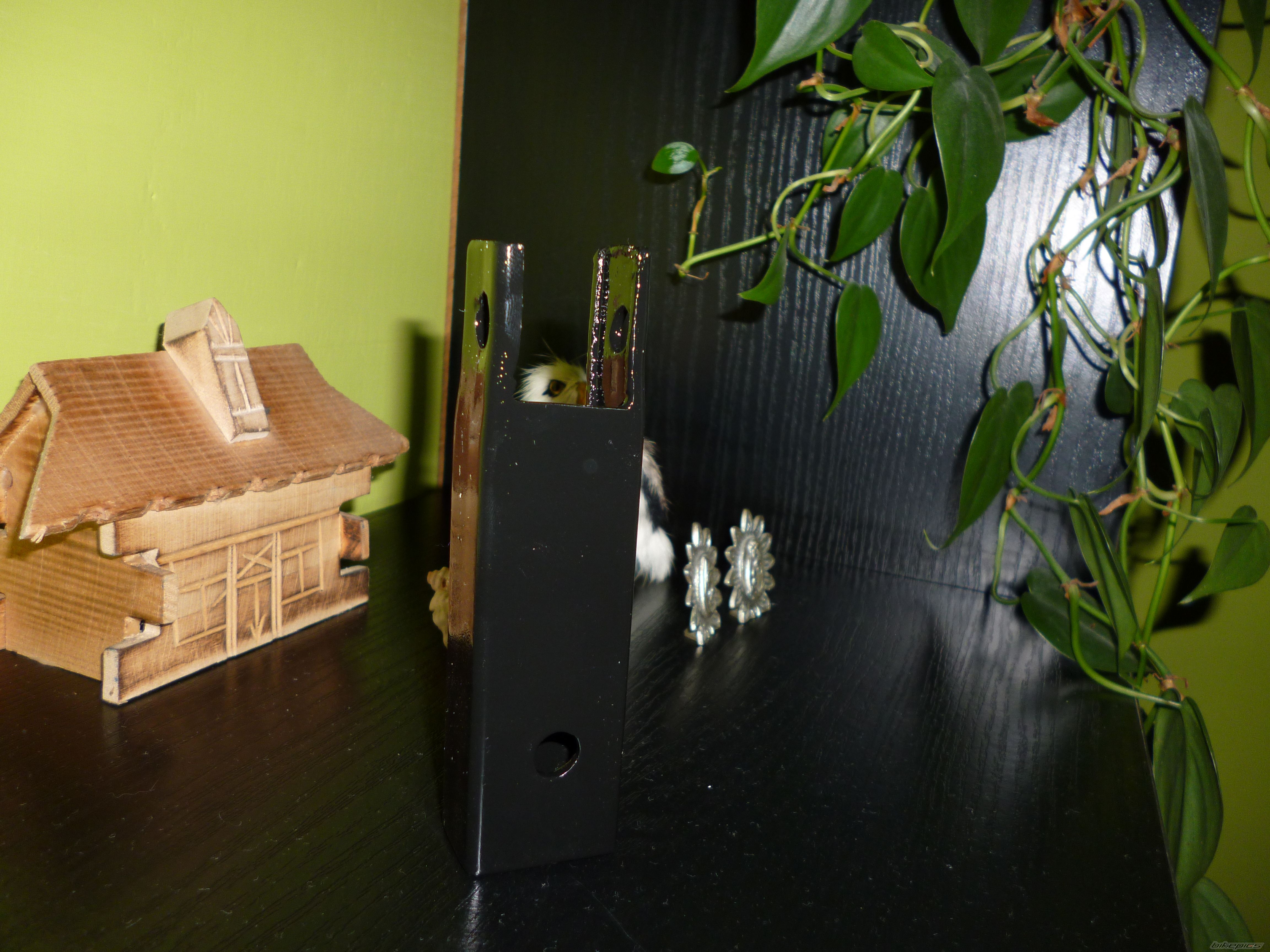 Photo 2475129