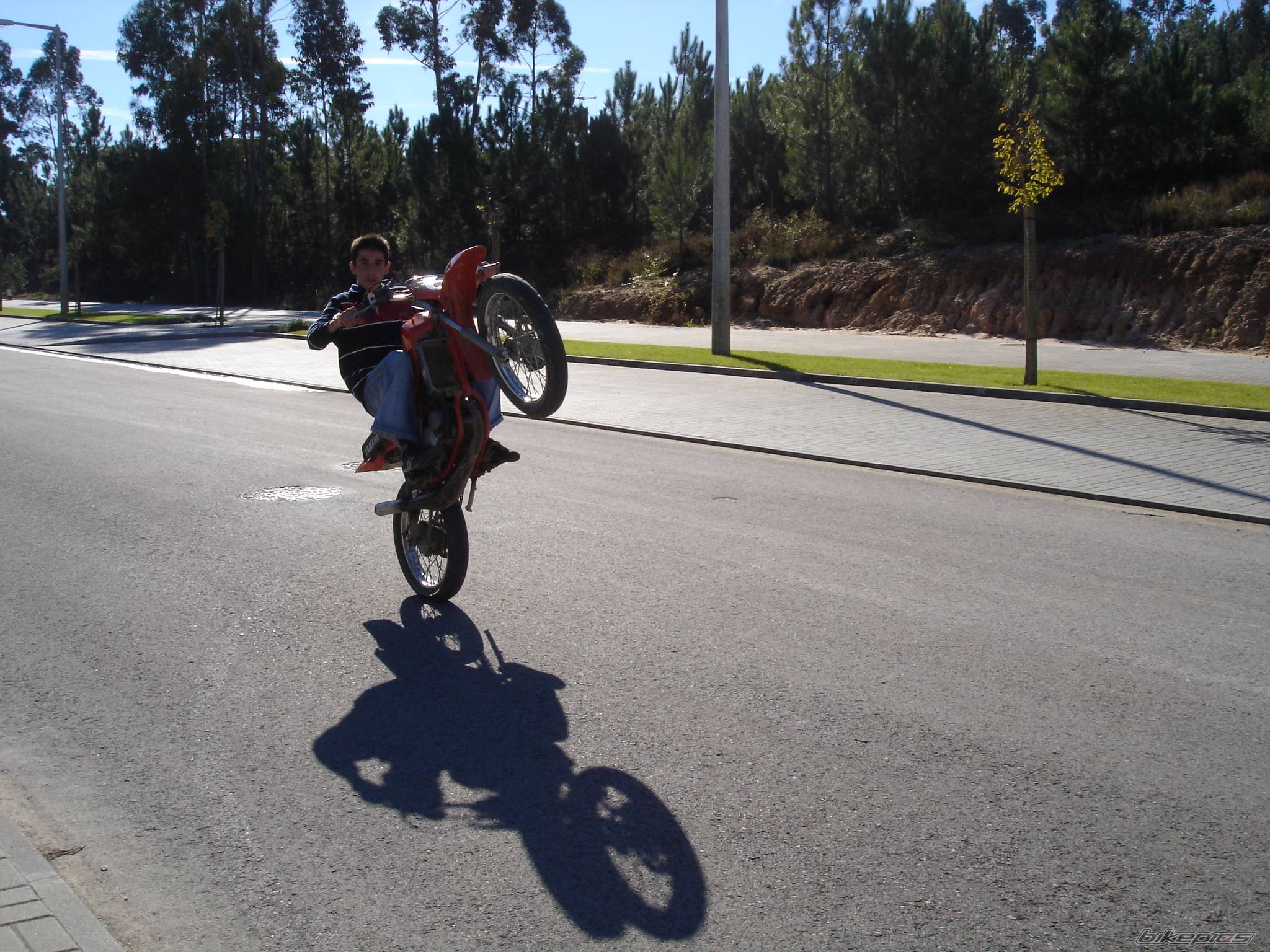 Bike Photo 247519