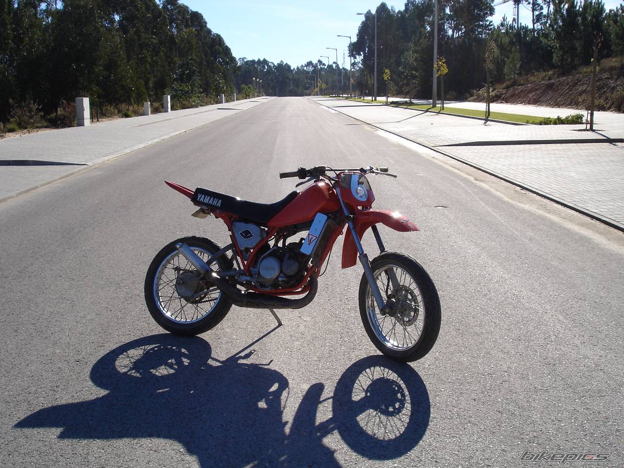 Bike Photo 247522