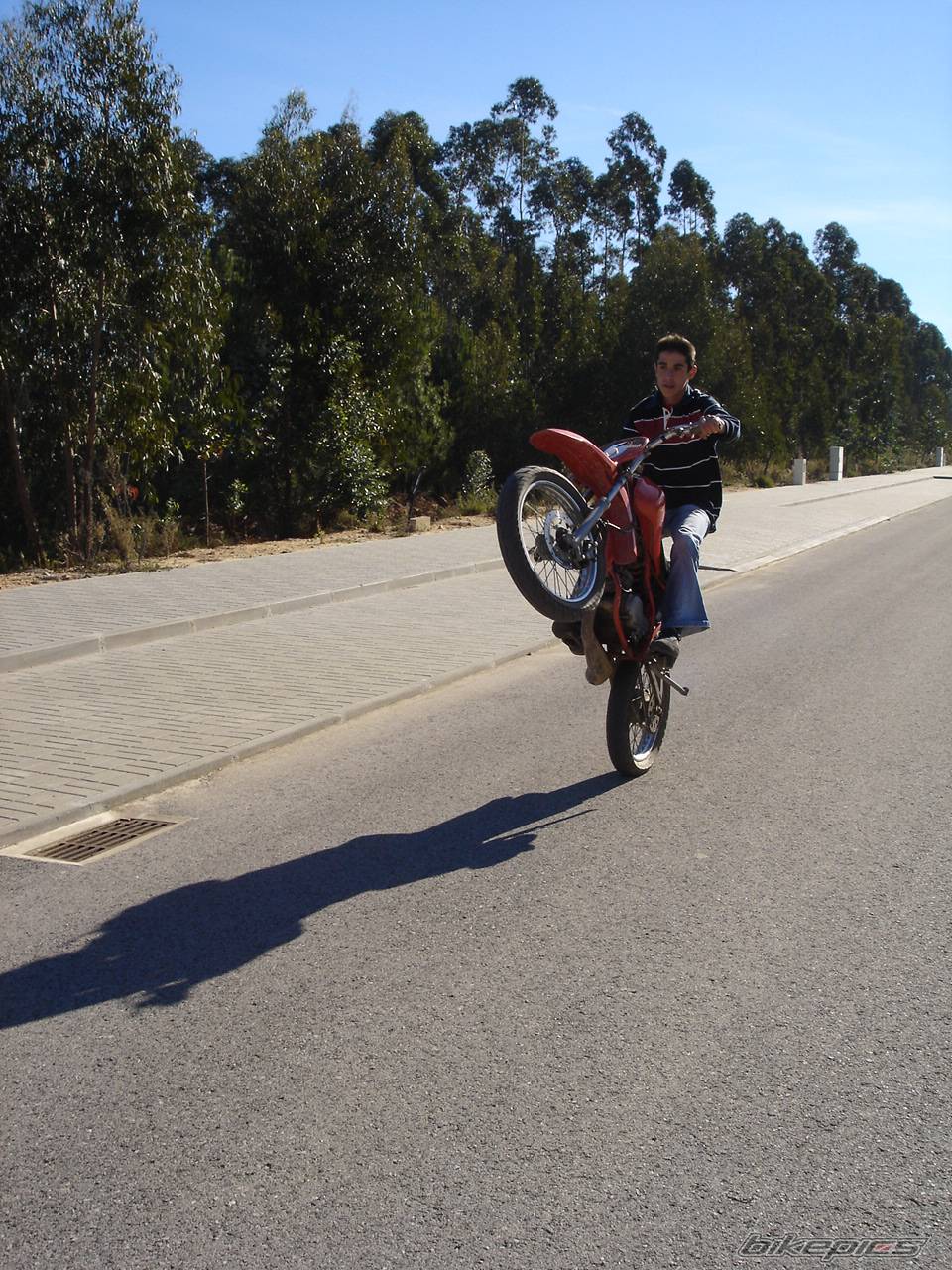 Bike Photo 247523