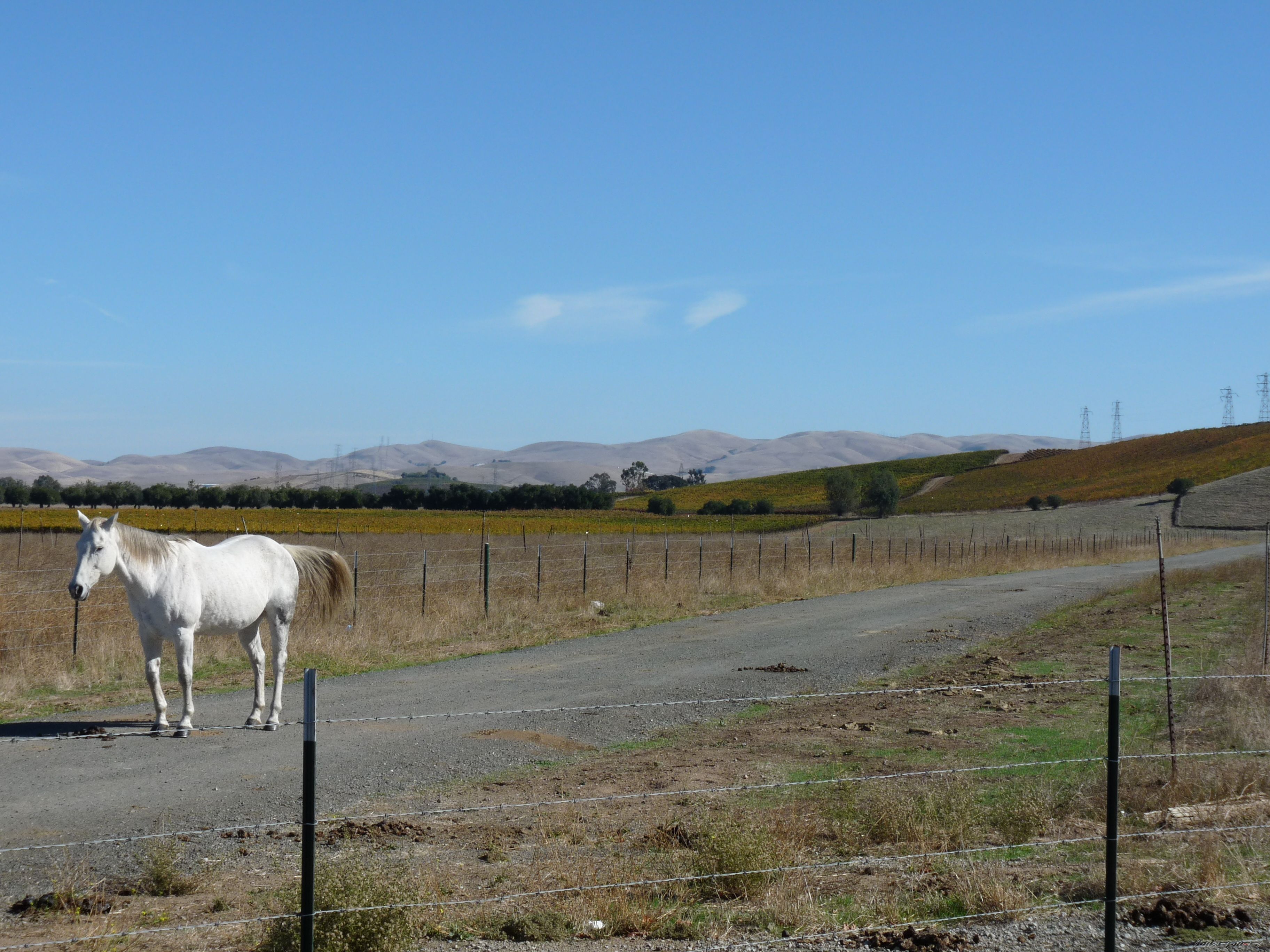 Photo 2475292