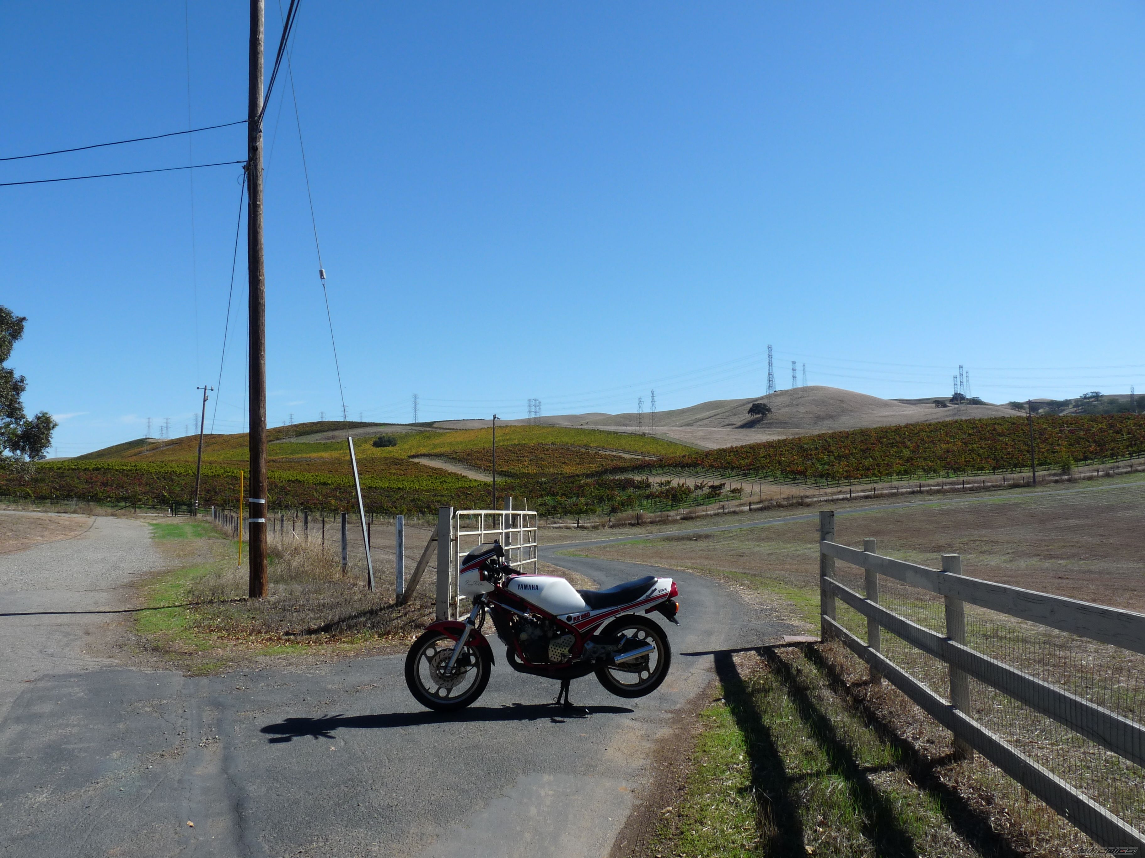 Photo 2475295
