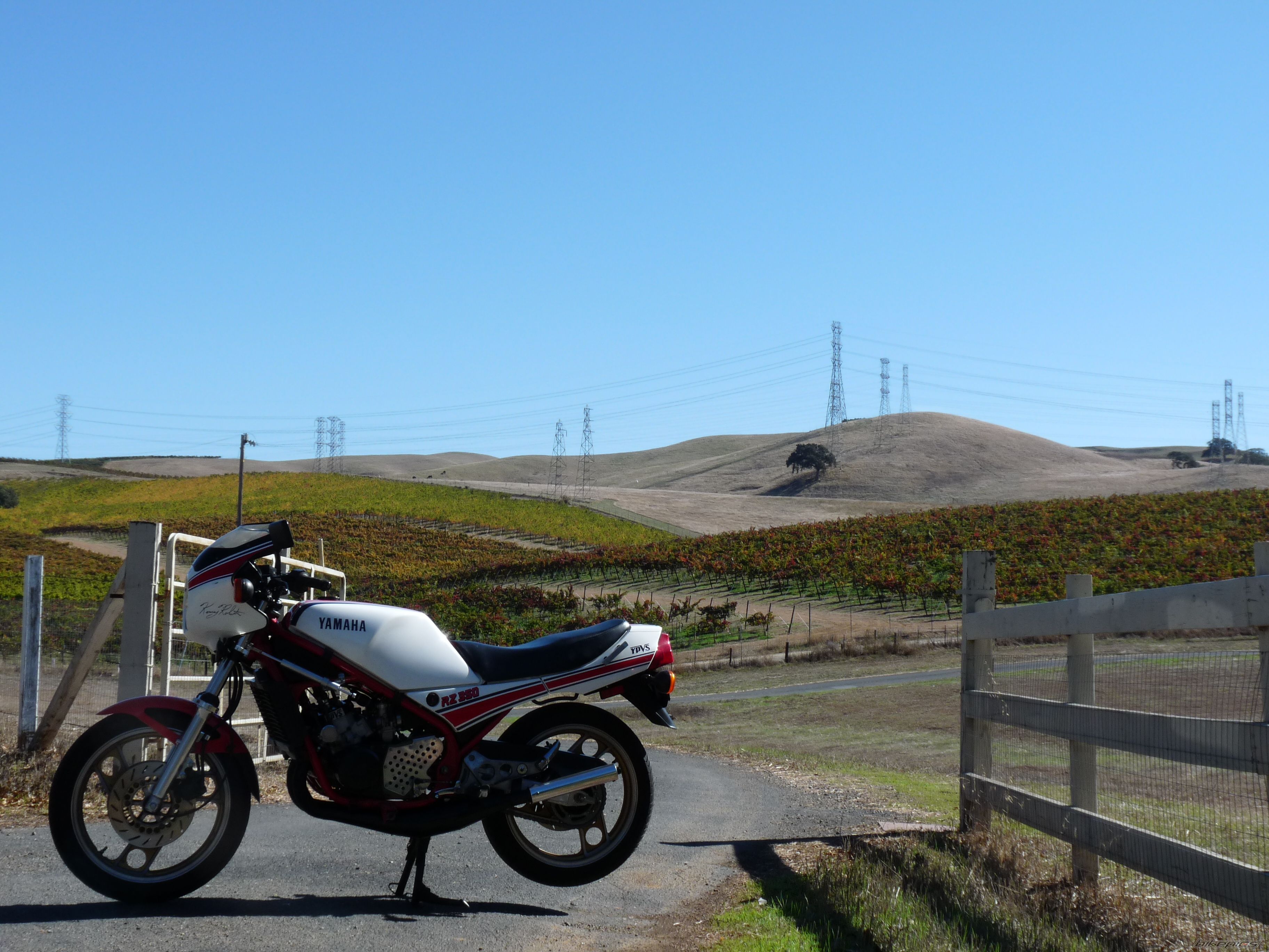 Photo 2475296
