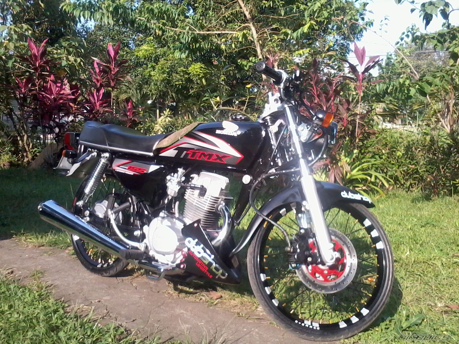 Photo 2475301