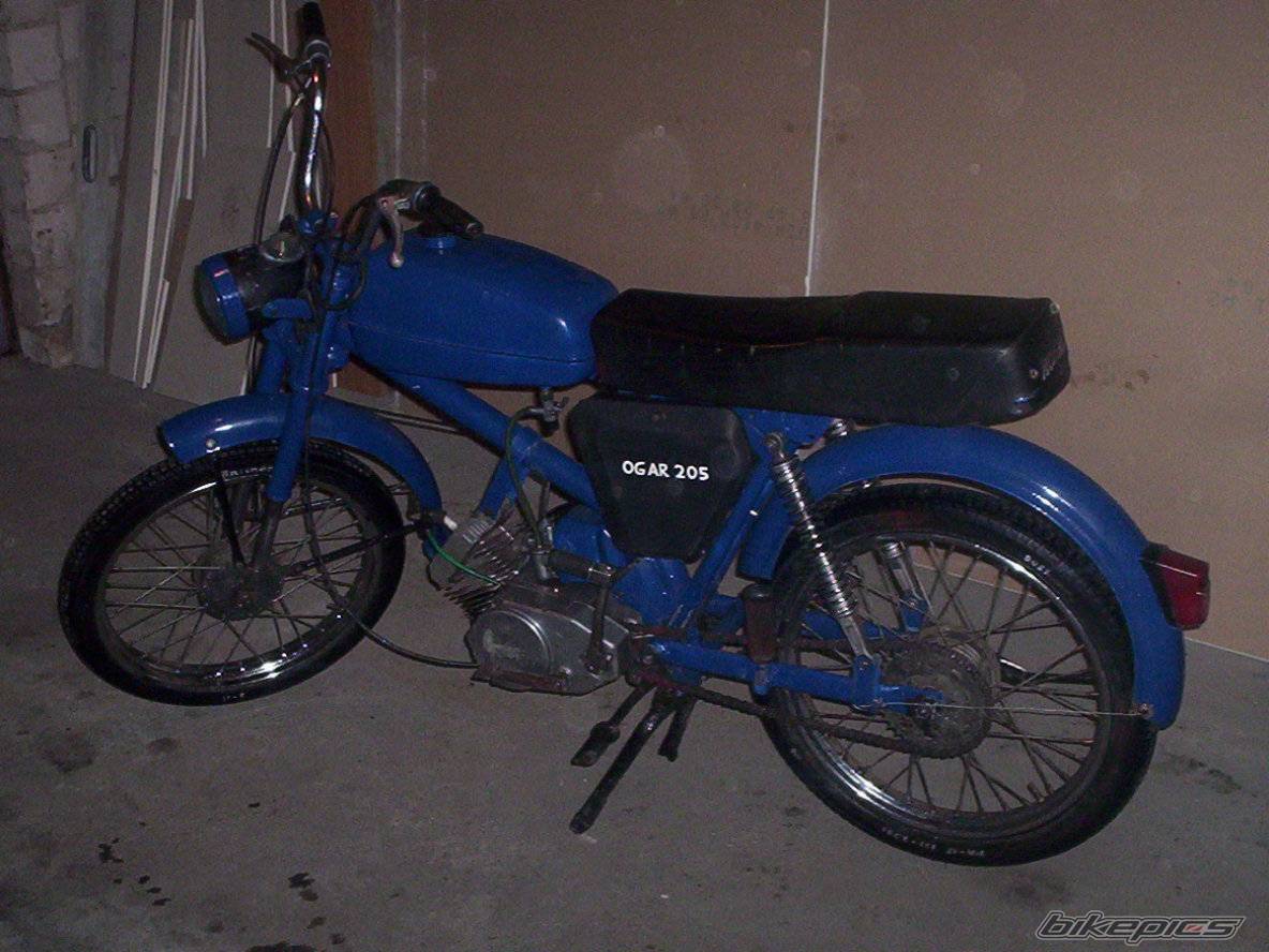 Photo 247531