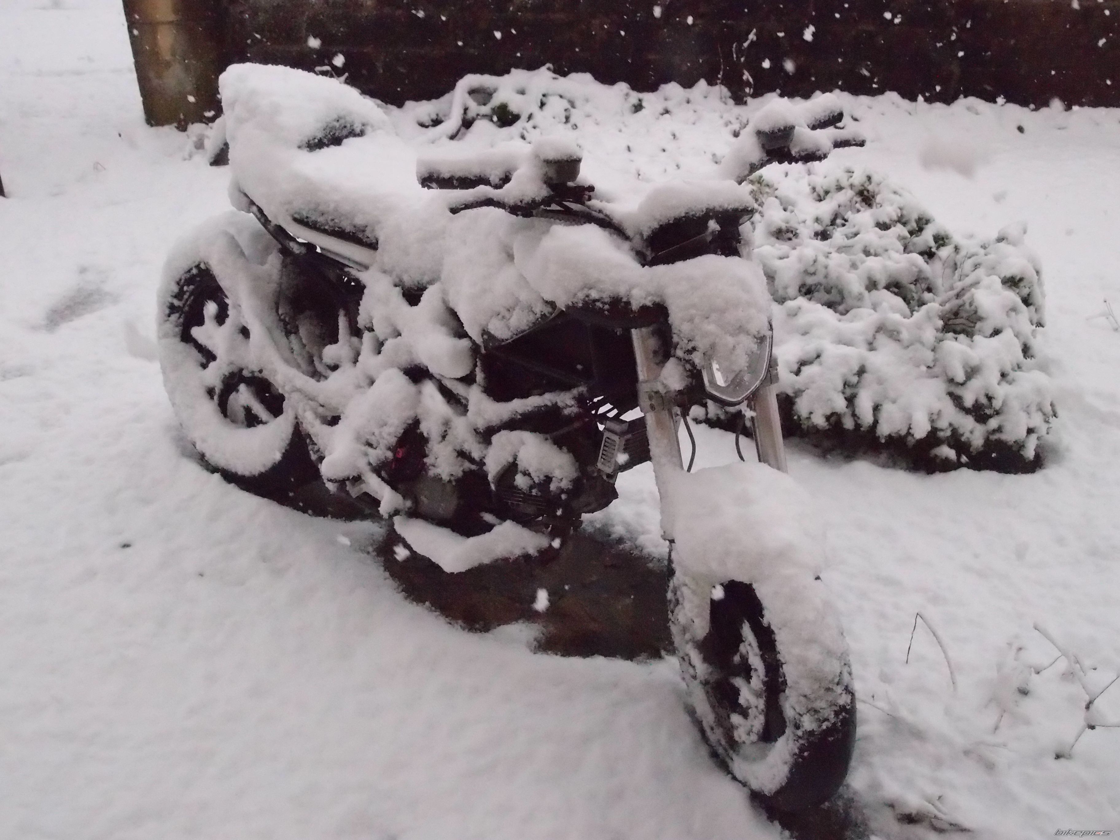 Photo 2475344
