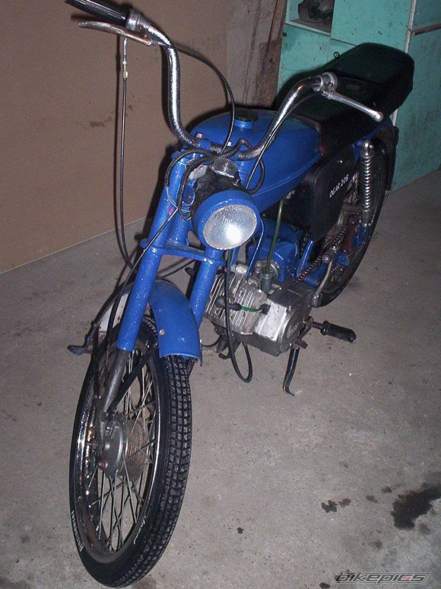Photo 247535