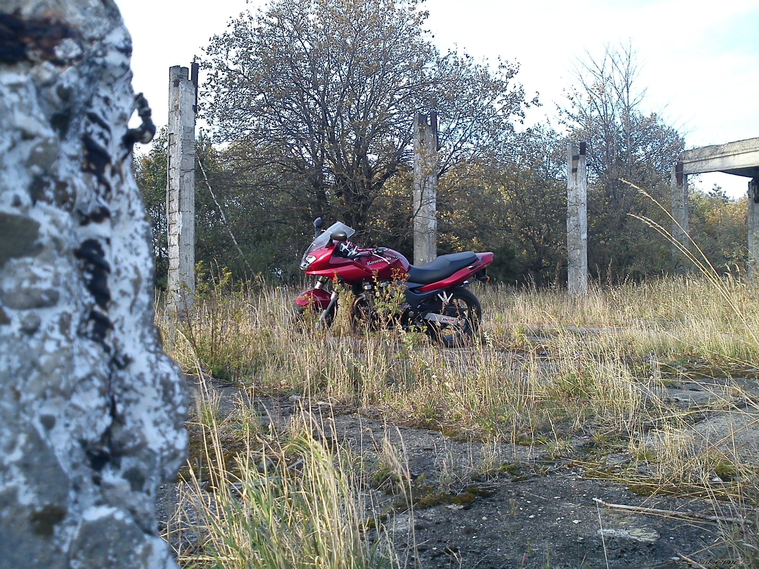 Photo 2475411