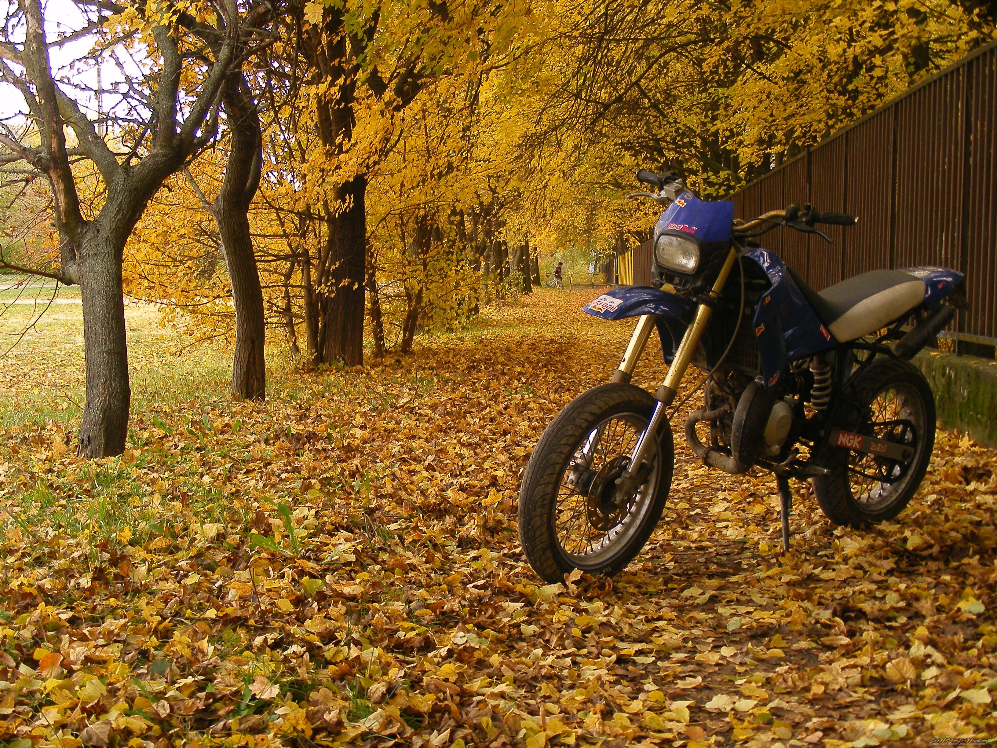Photo 2475452