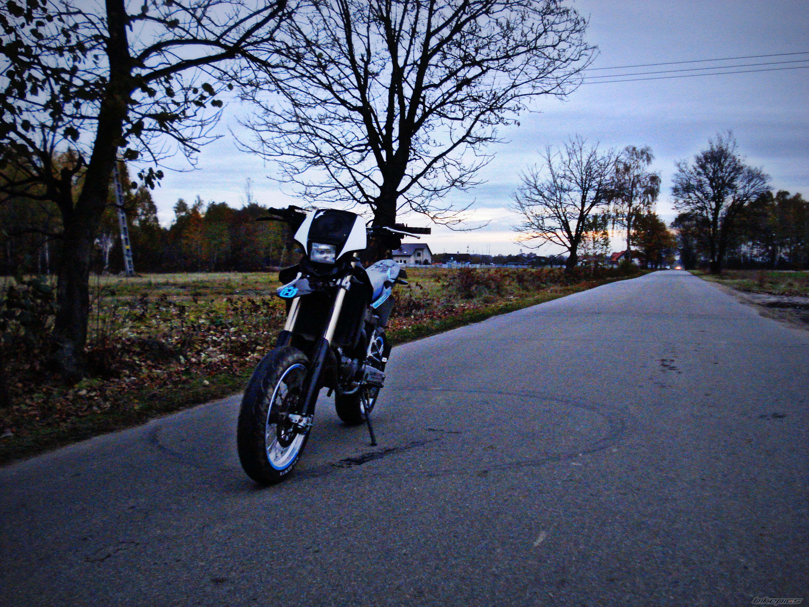 Photo 2475453