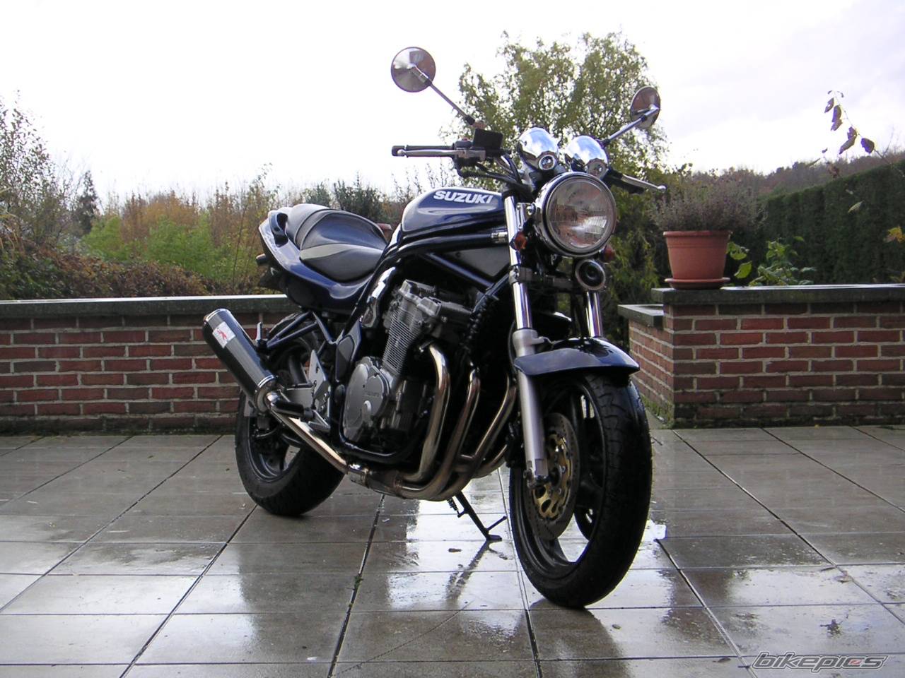 Photo 247557
