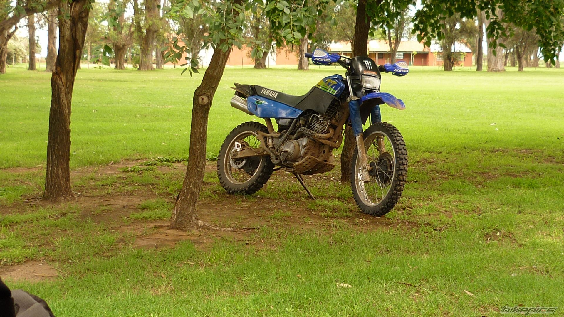 Photo 2475814