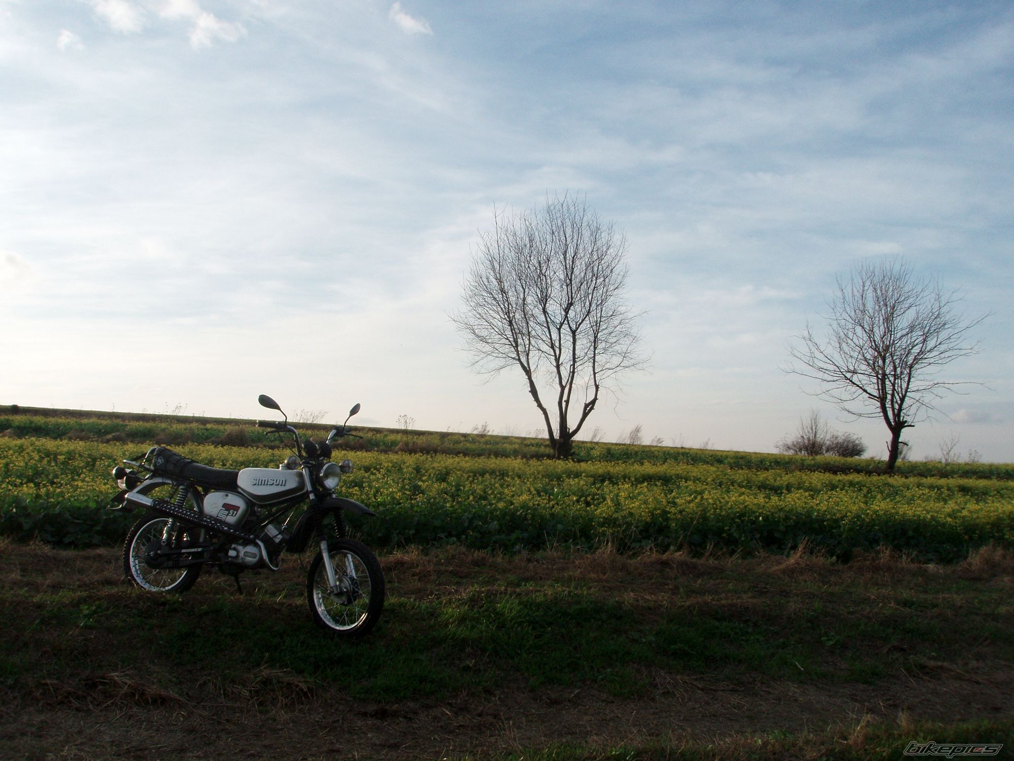 Photo 2475960