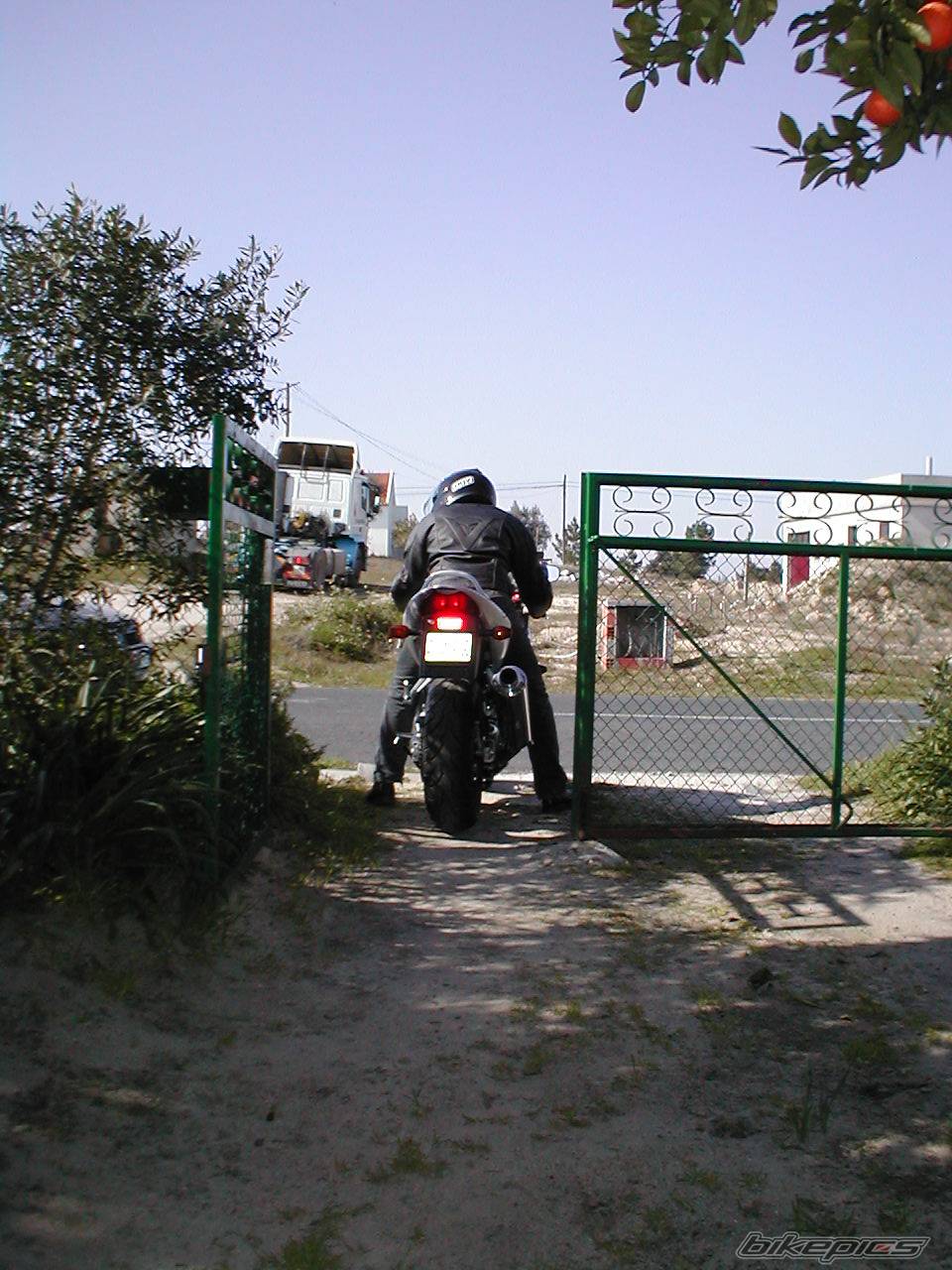 Photo 24761
