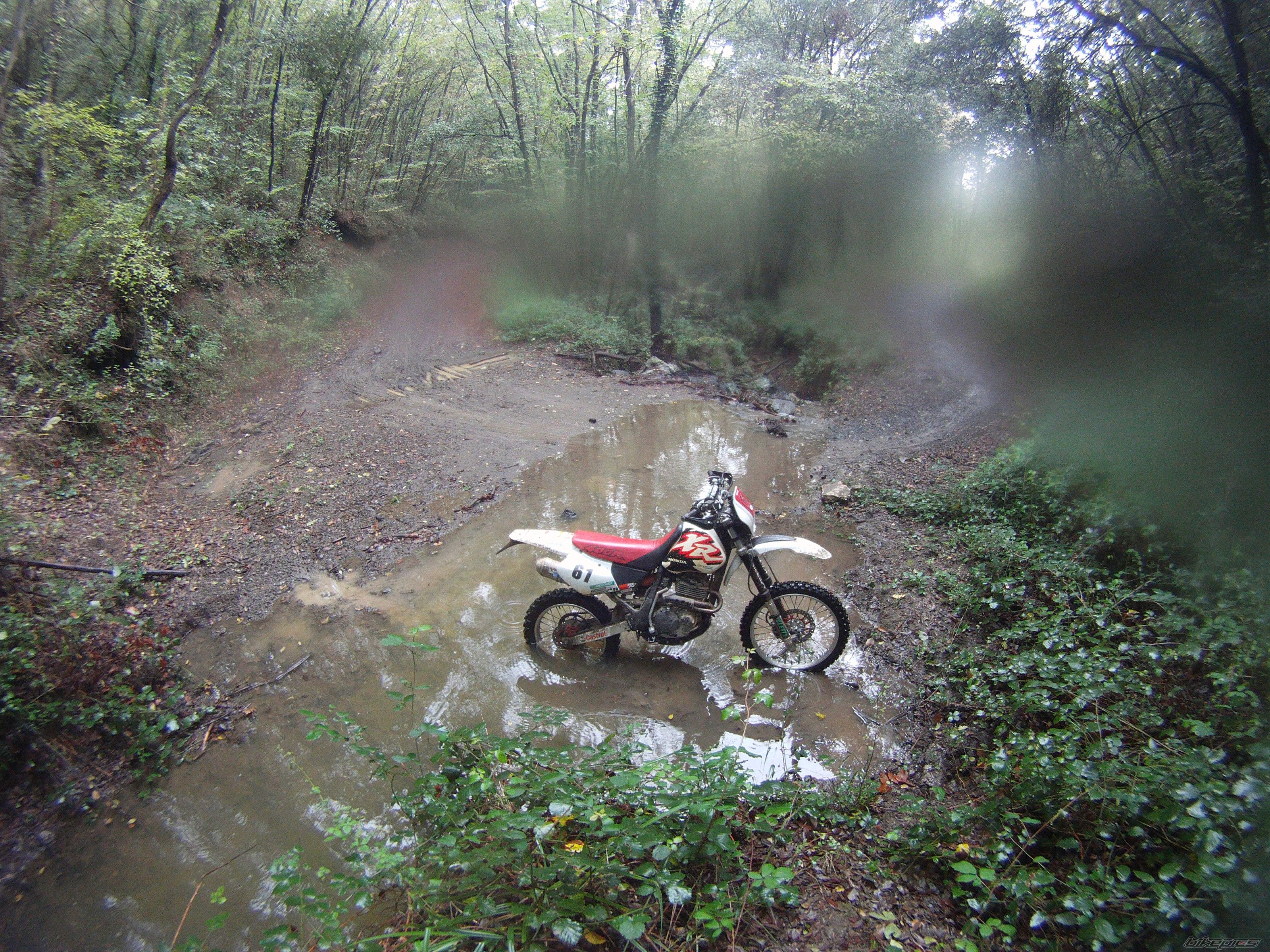 Photo 2476252