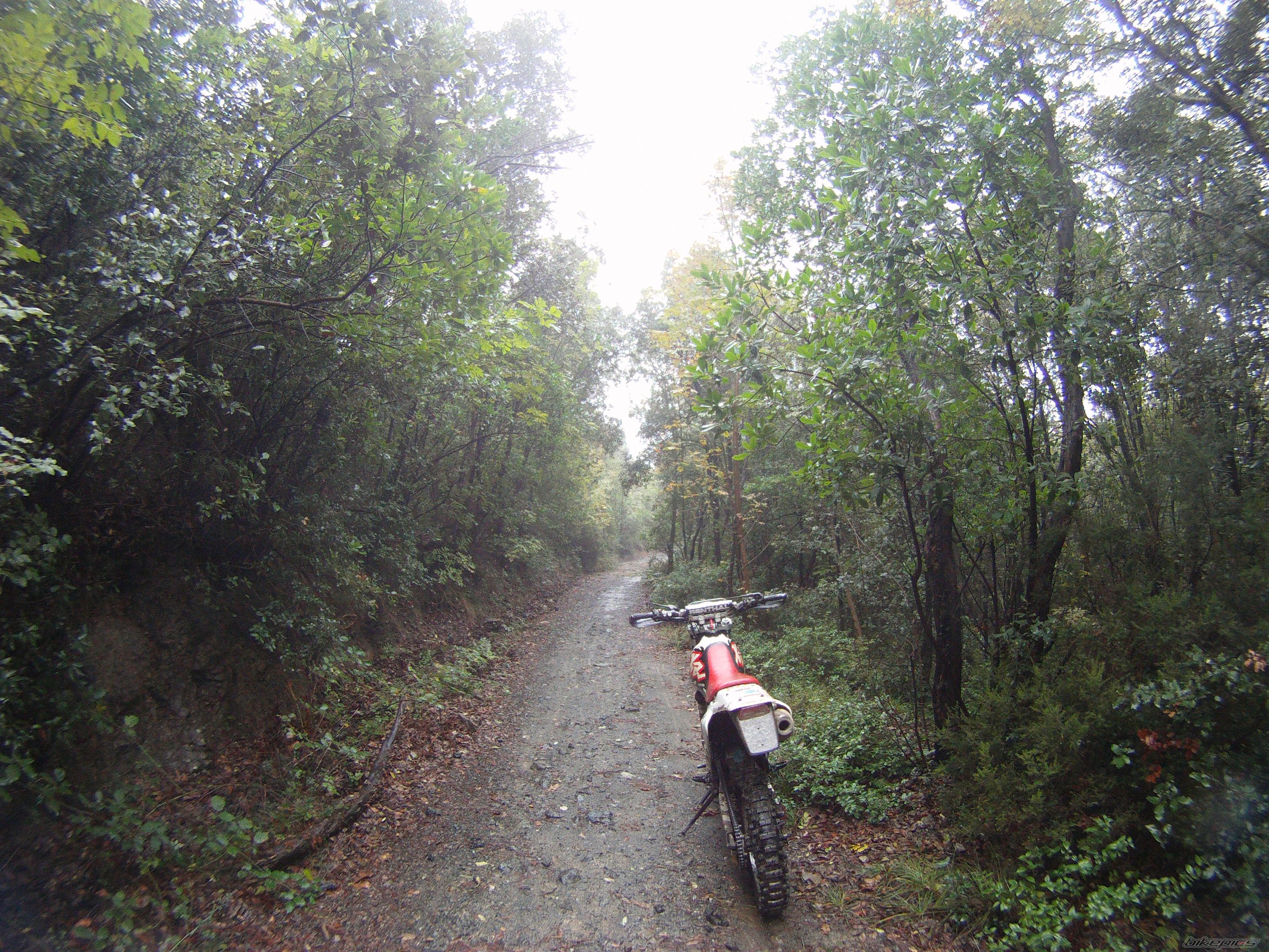 Photo 2476253