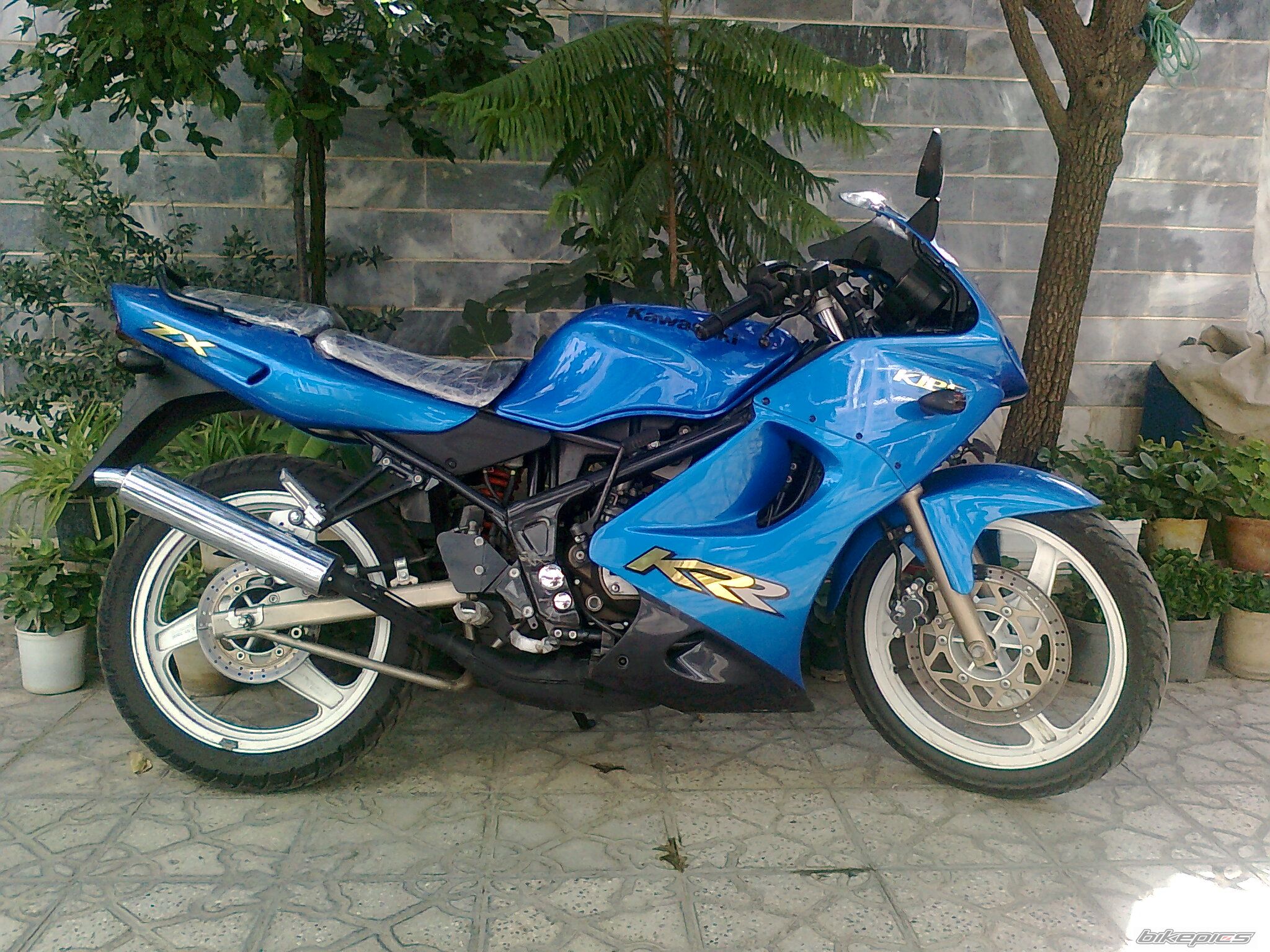 Photo 2476350