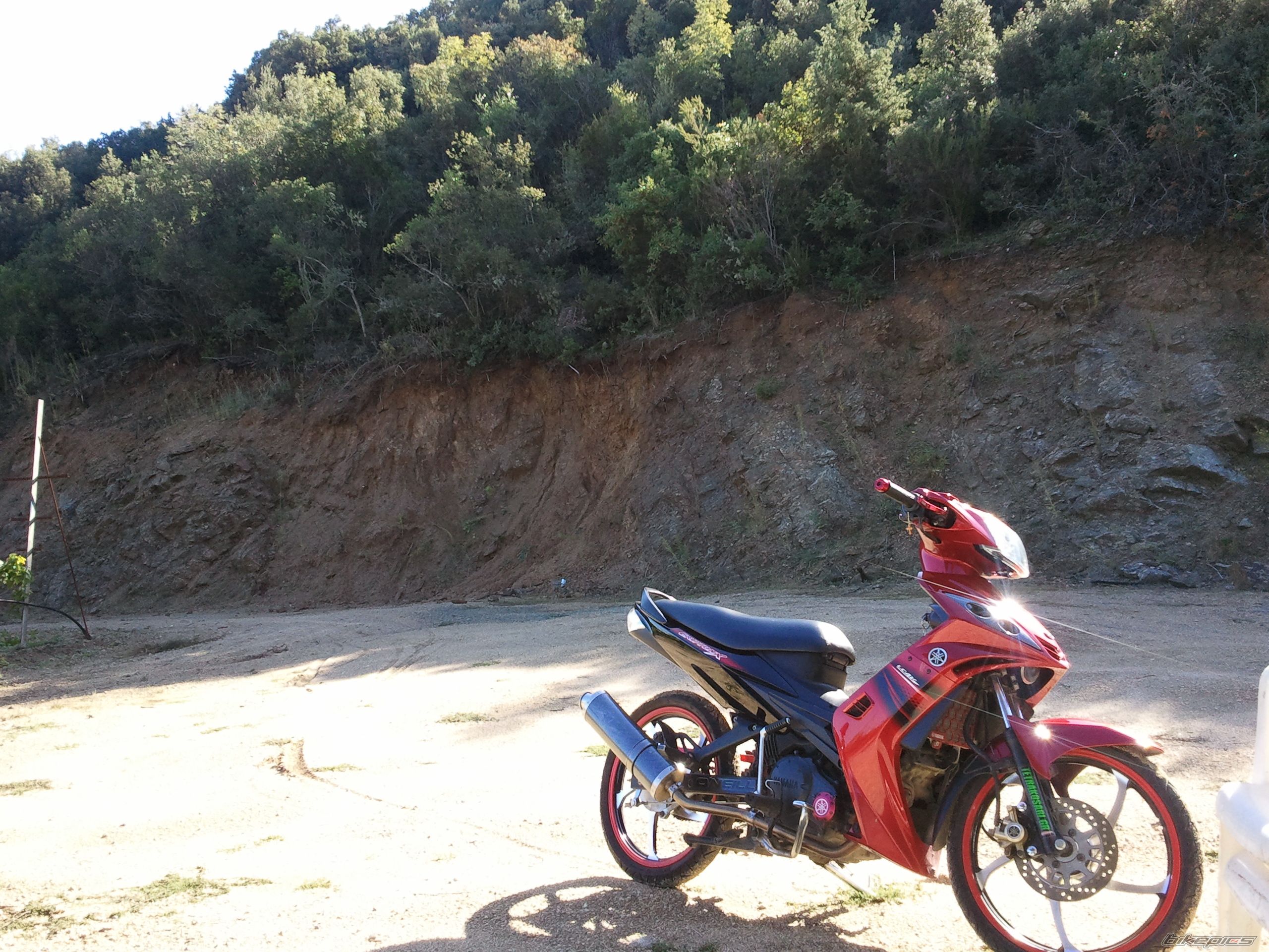 Photo 2476353