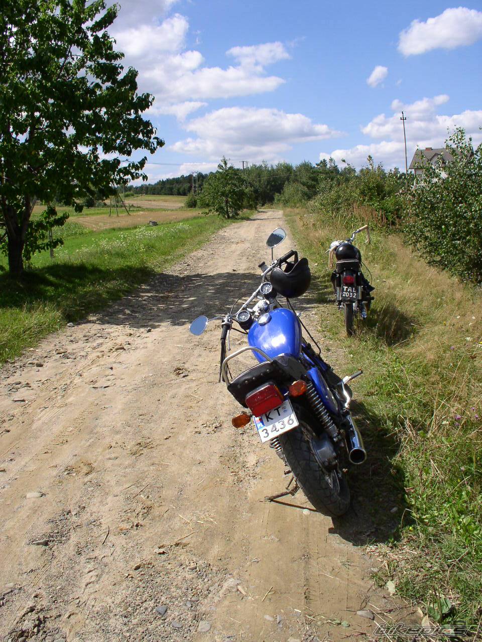 Photo 247636