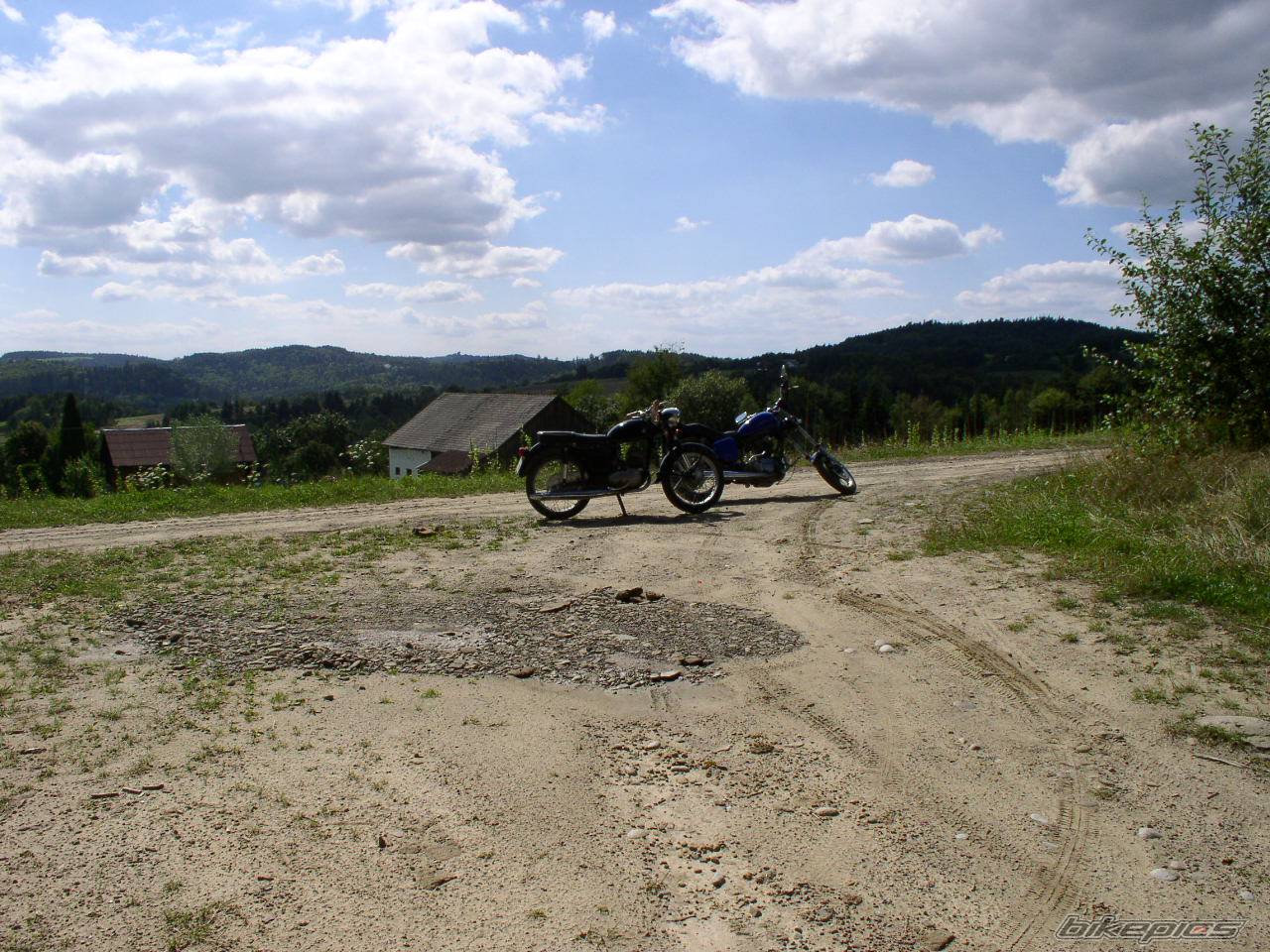 Photo 247637