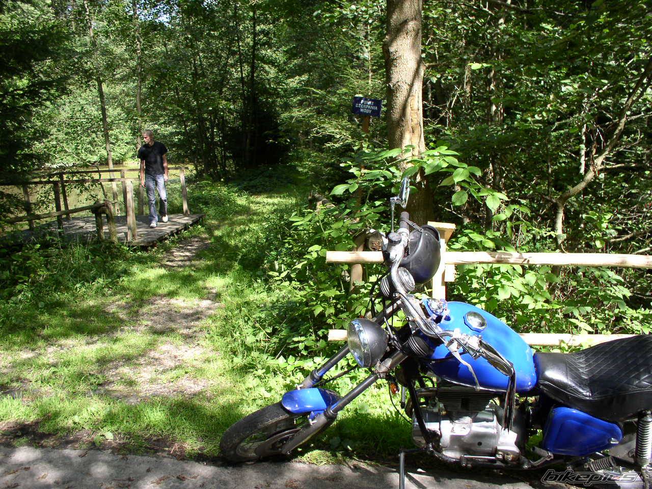 Photo 247639