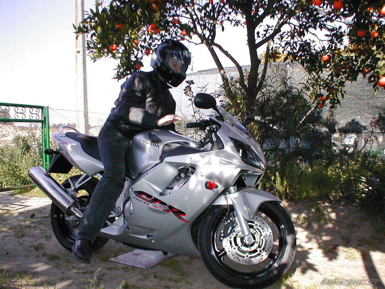 Photo 24764