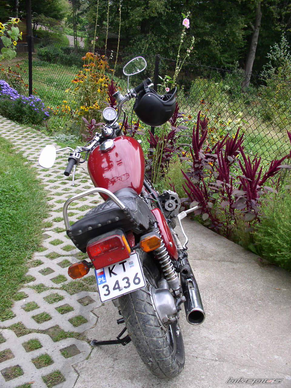 Photo 247644
