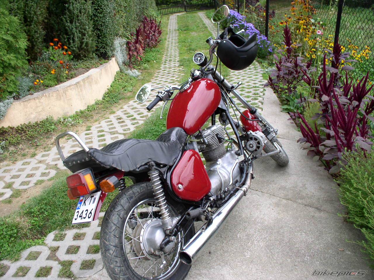 Photo 247646