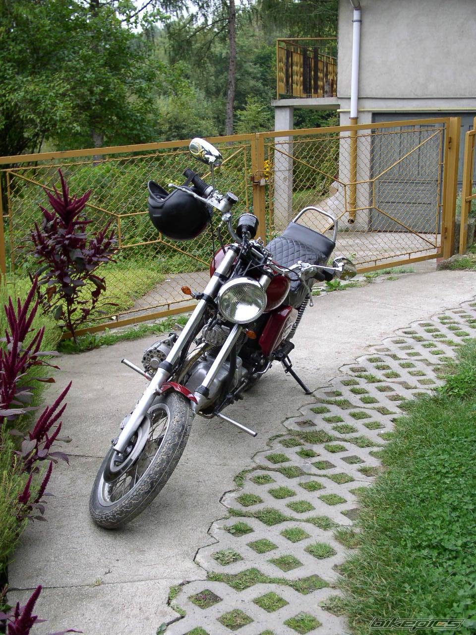 Photo 247649