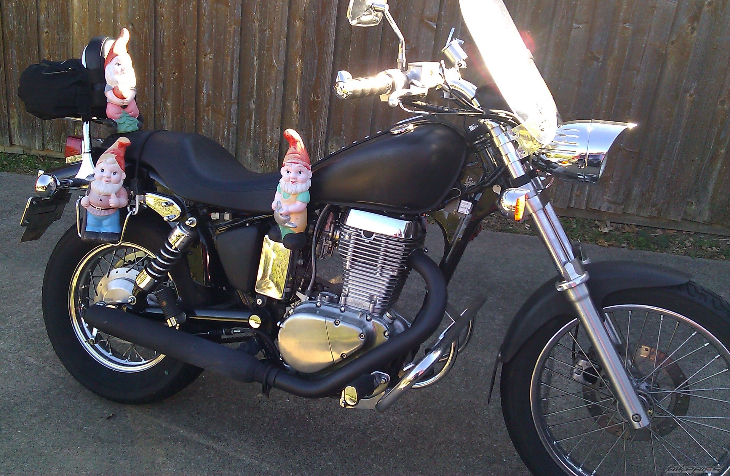 Photo 2476550